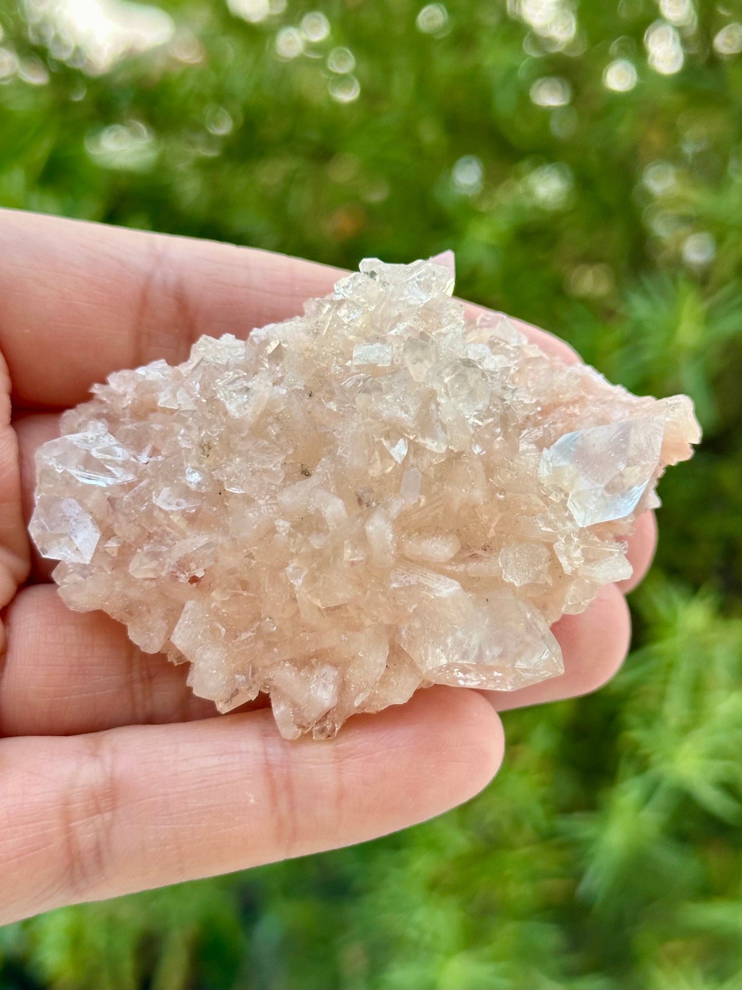 Apophyllite with Stilbite Specimen from India