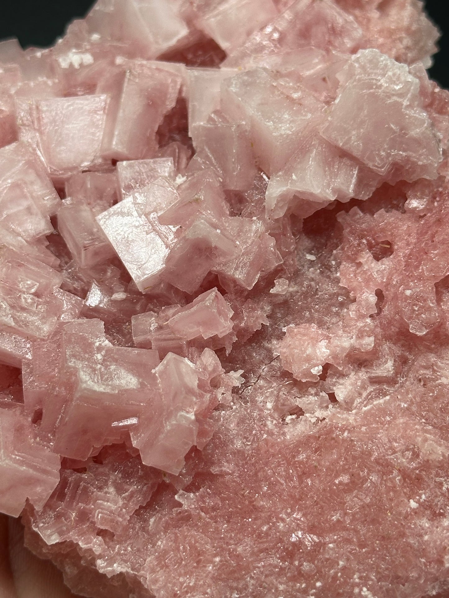 Pink Halite from Searles Lake, California