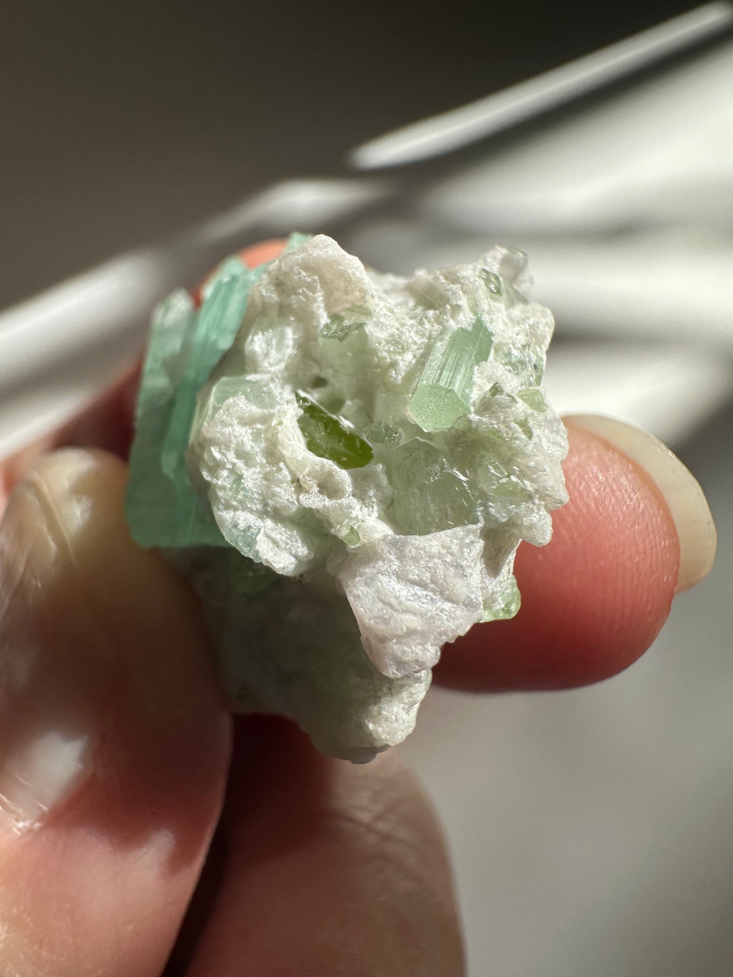 Tourmaline in Quartz