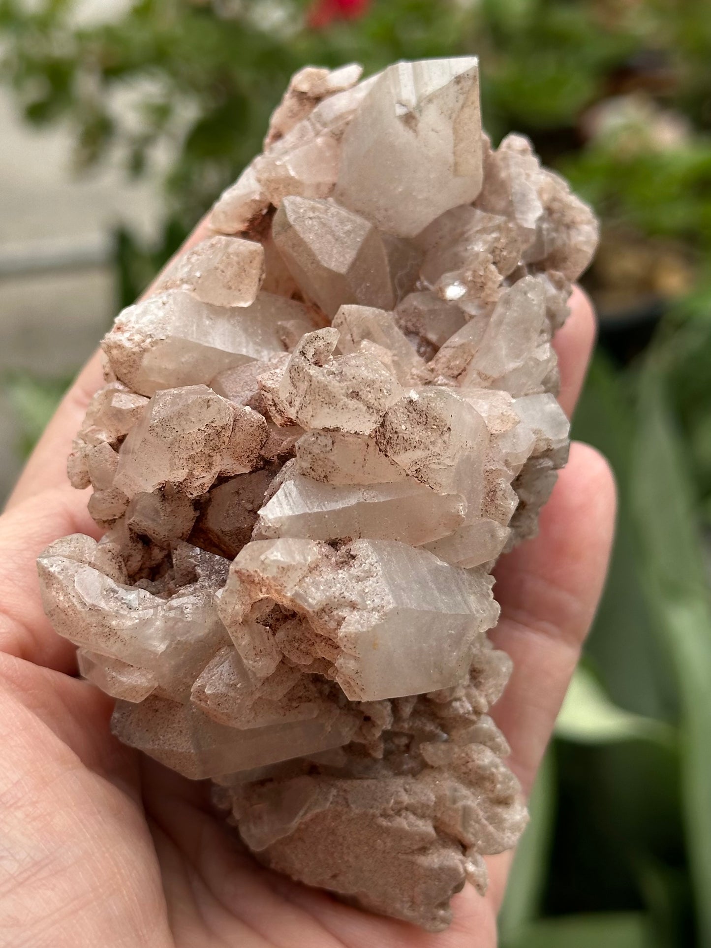 Tibetan Quartz