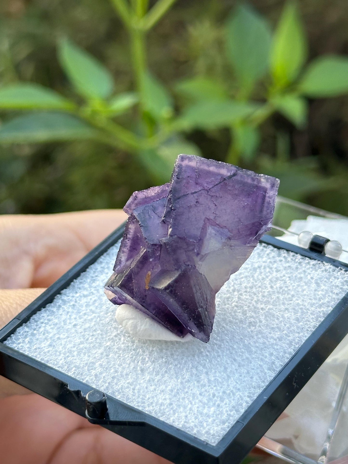 QR Code Fluorite from the Quinlong Mine, Guizhou, China