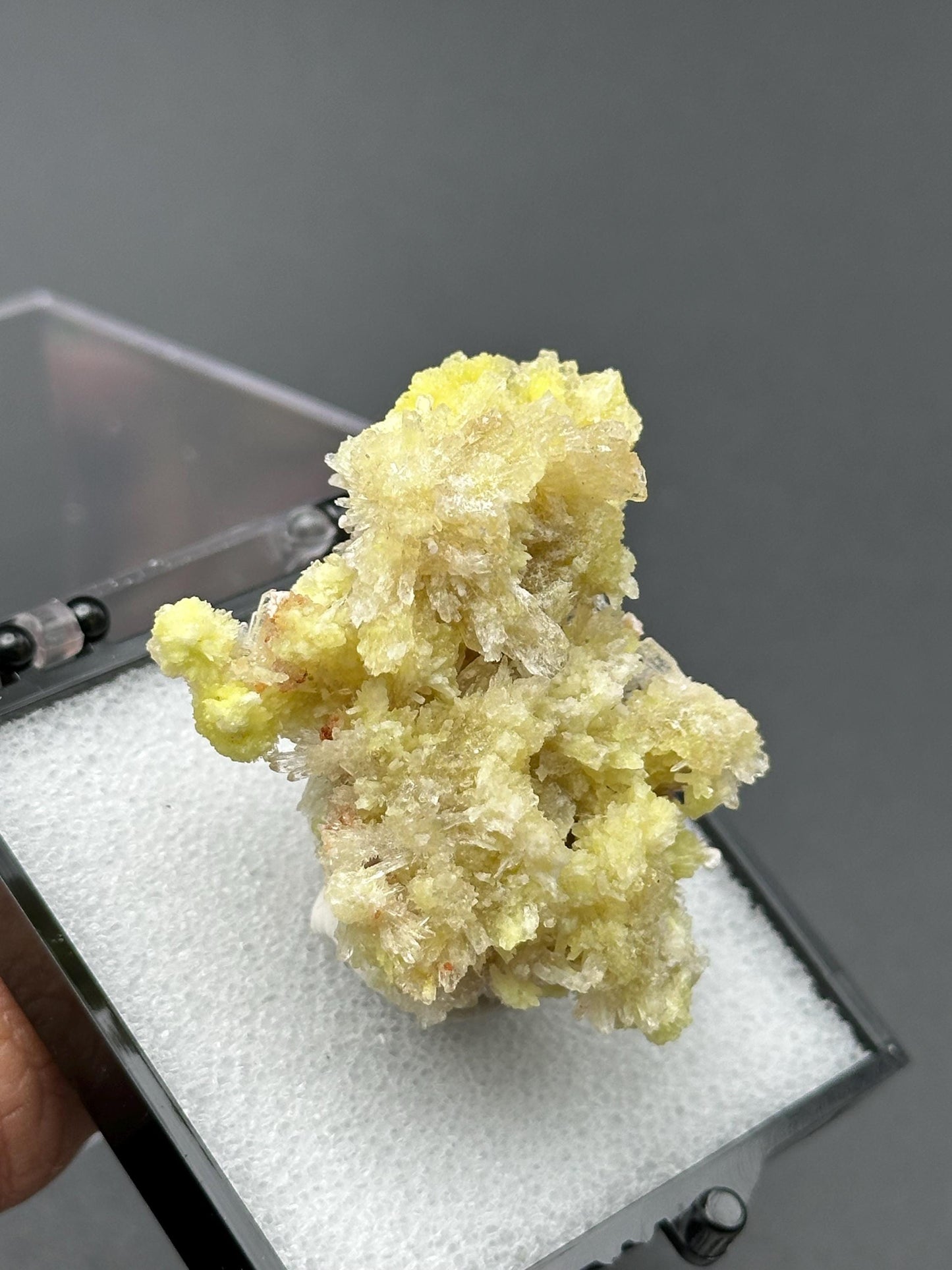 Creedite with Selenite in a perky box from Guizhou, Dachang, China