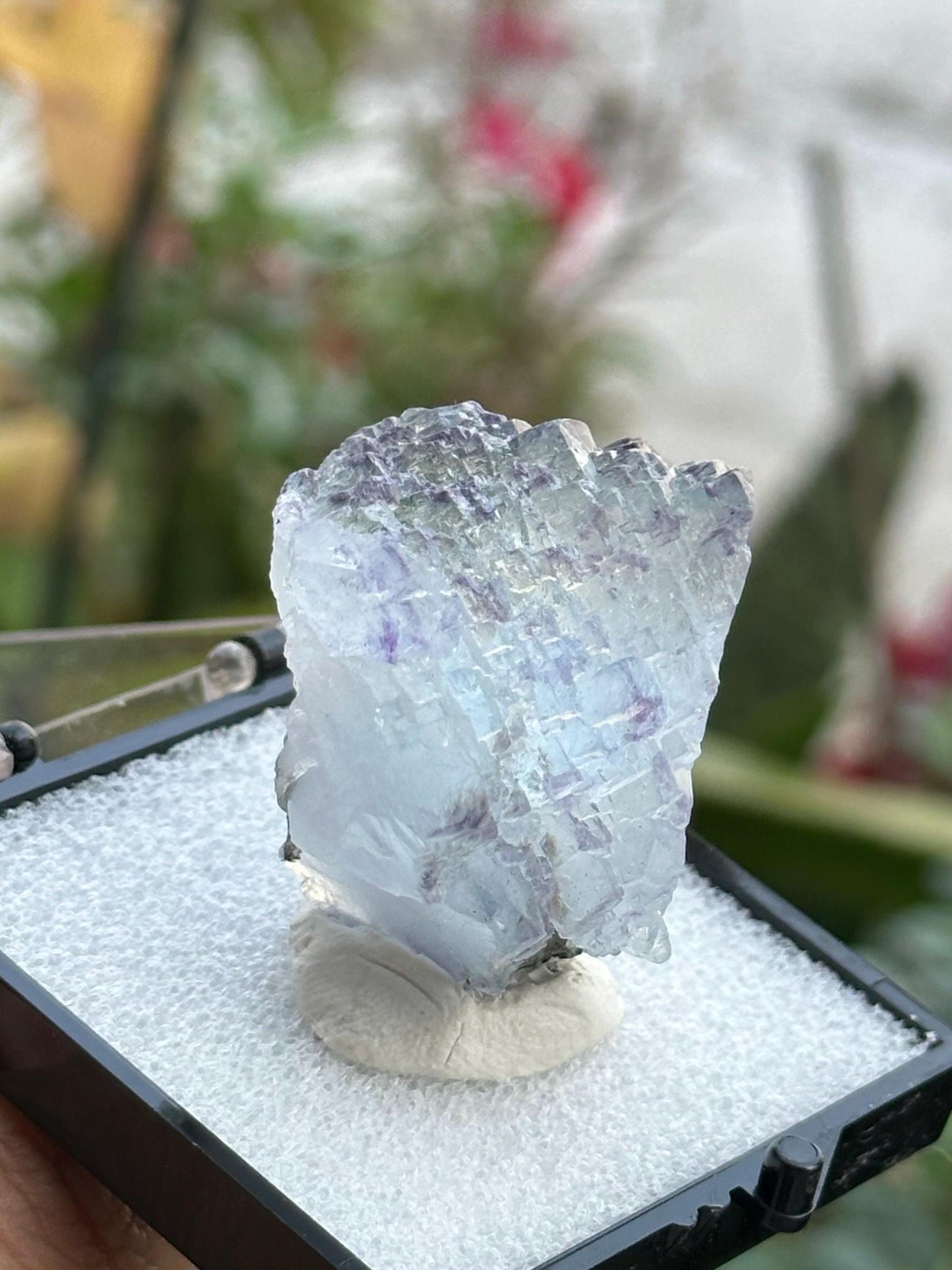 YGX Fluorite in a perky box from the Yaogangxian Mine