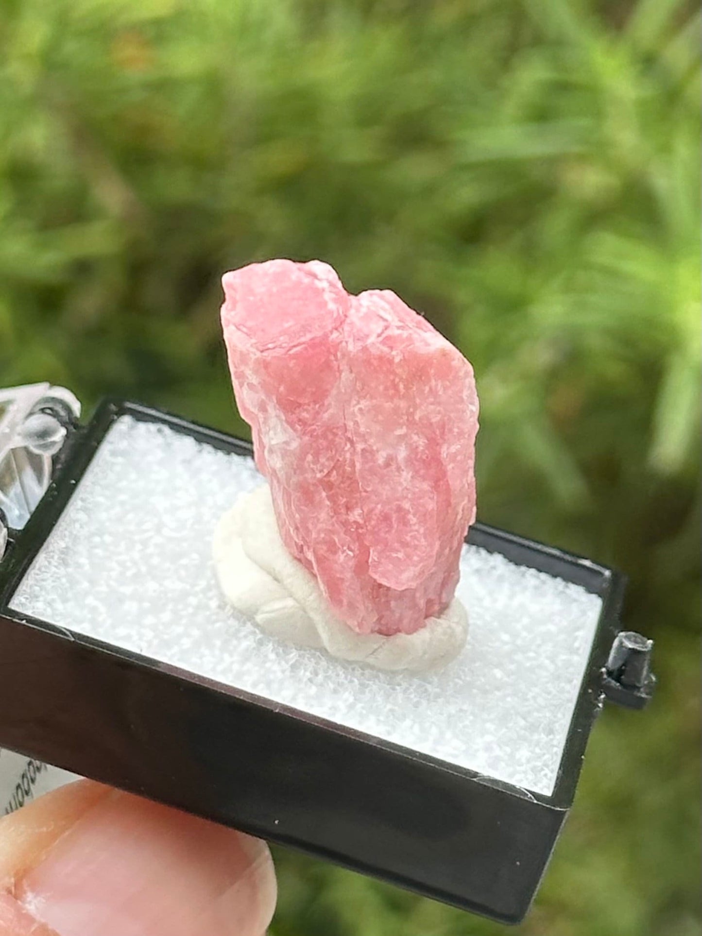 Rhodochrosite Specimen in a small perky box from Wutong Mine