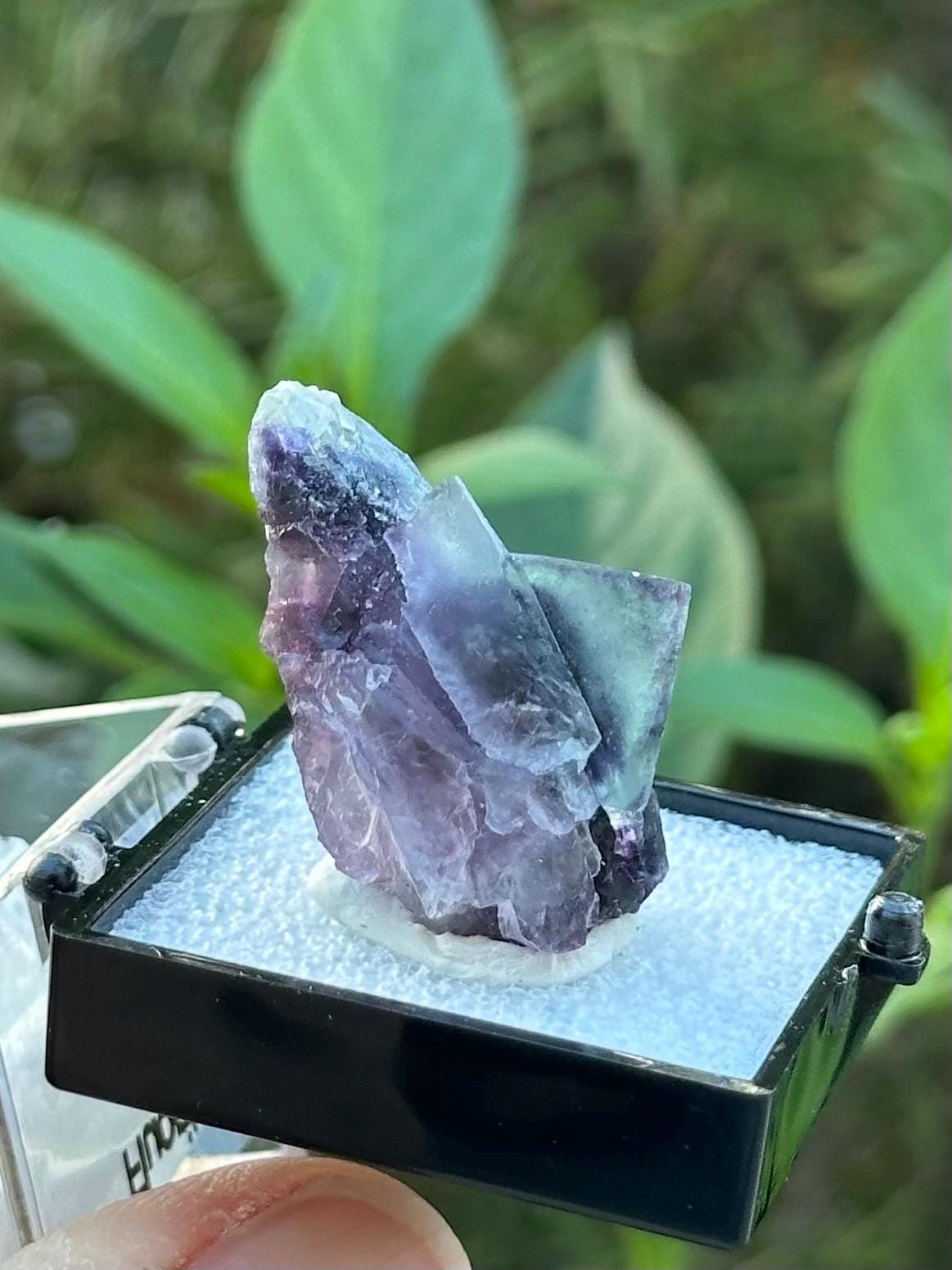 Fluorite from the Yindu Mine, Inner Mongolia, China
