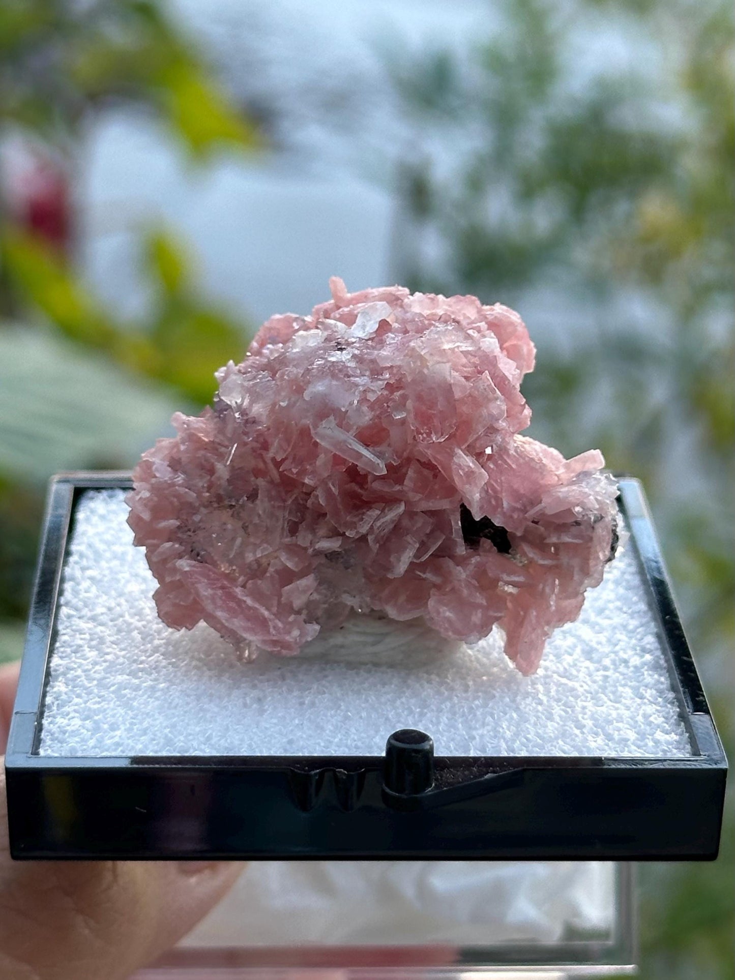 Rhodochrosite with Quartz Specimen