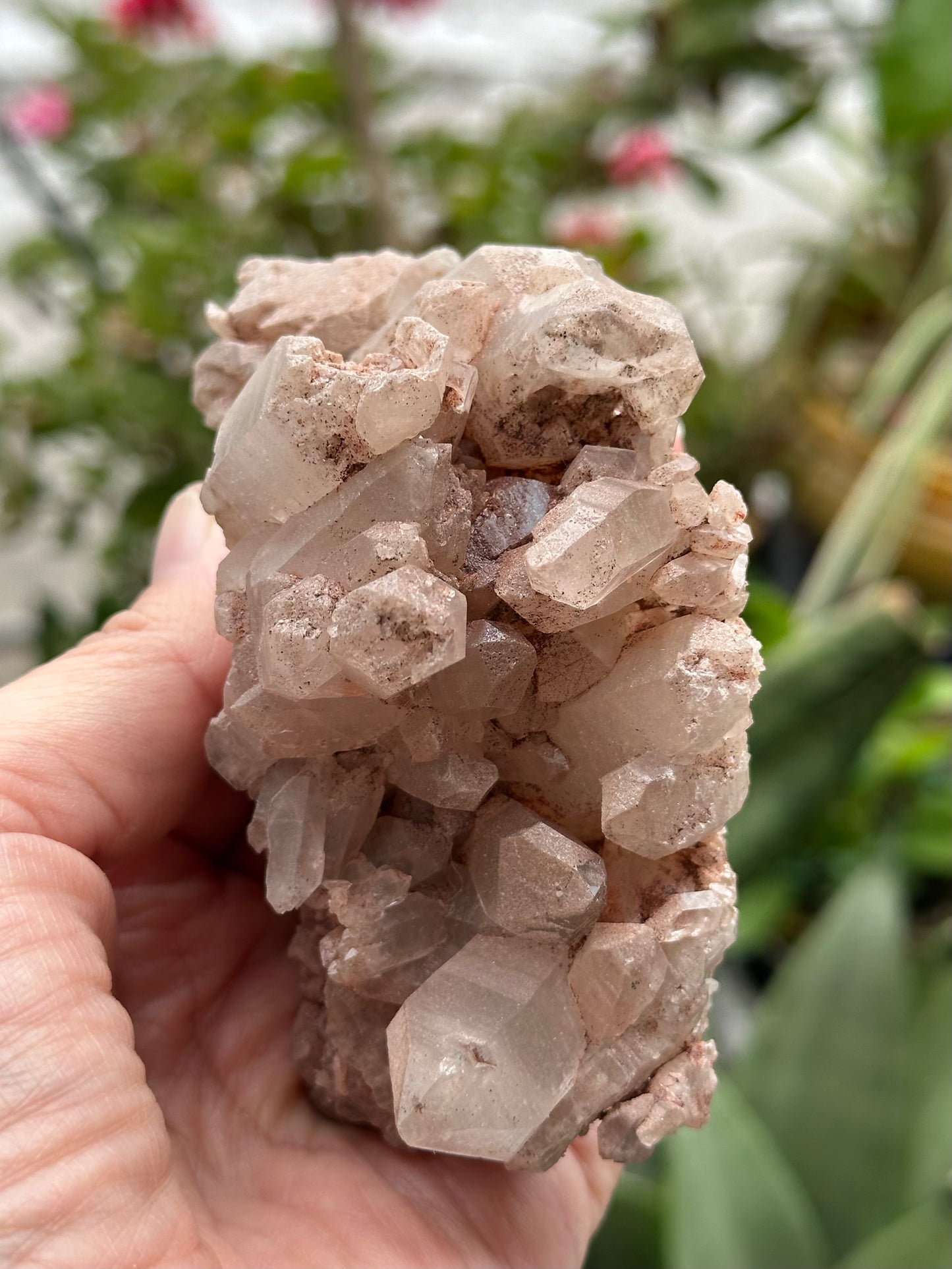 Tibetan Quartz