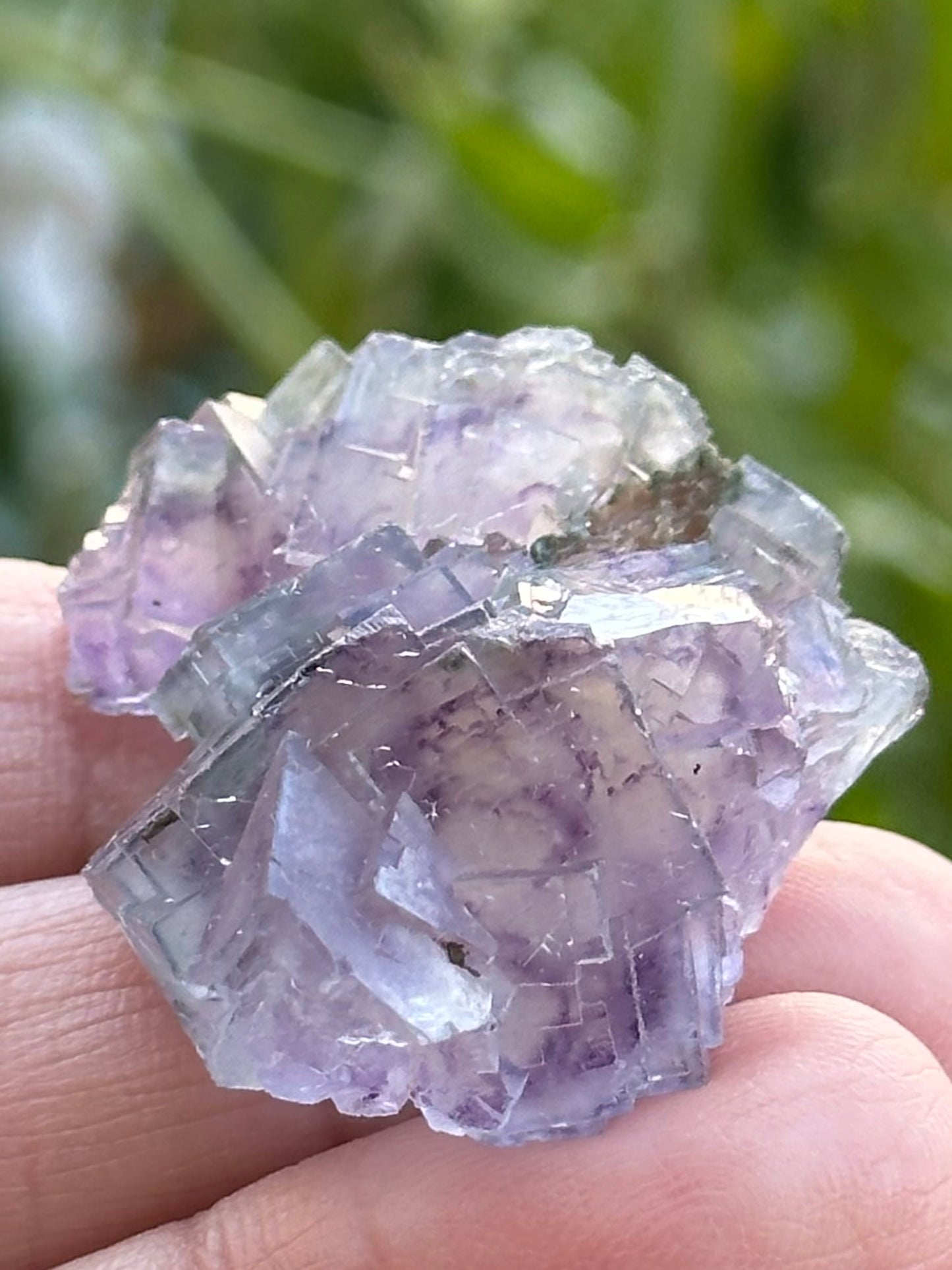 YGX Fluorite