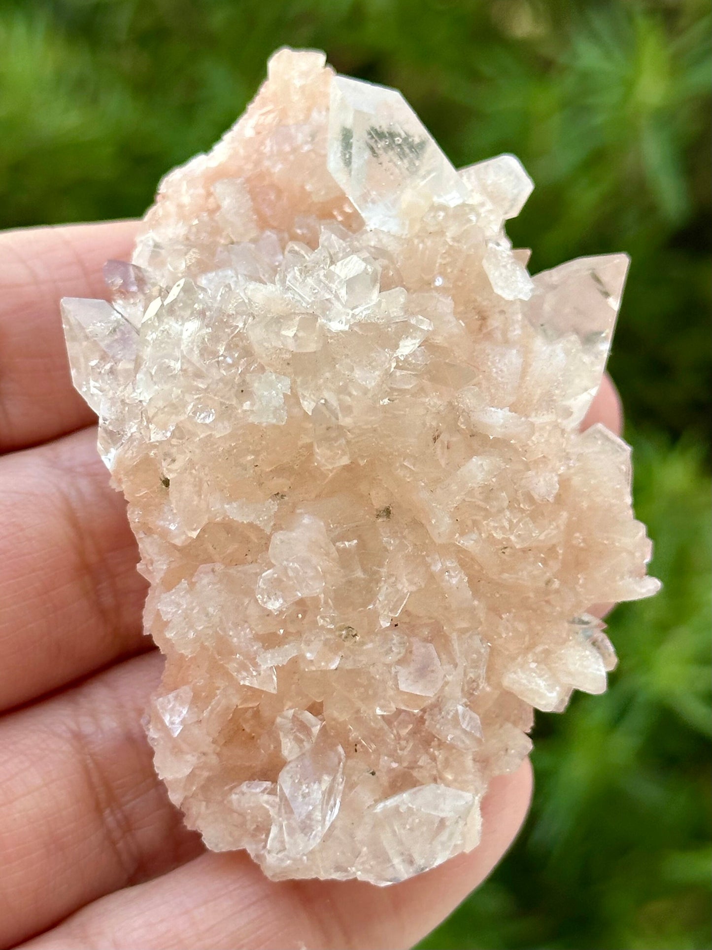 Apophyllite with Stilbite Specimen from India
