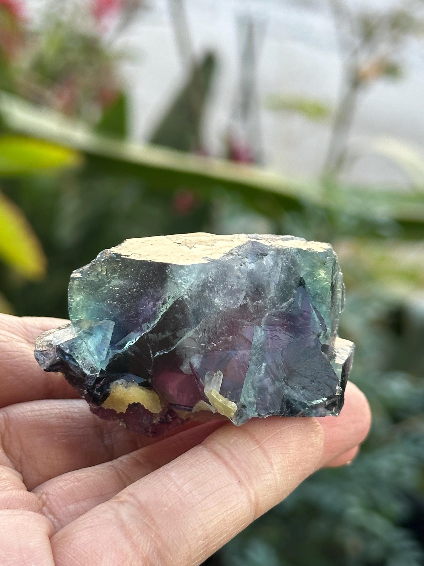 Fluorite from Zhejiang, China