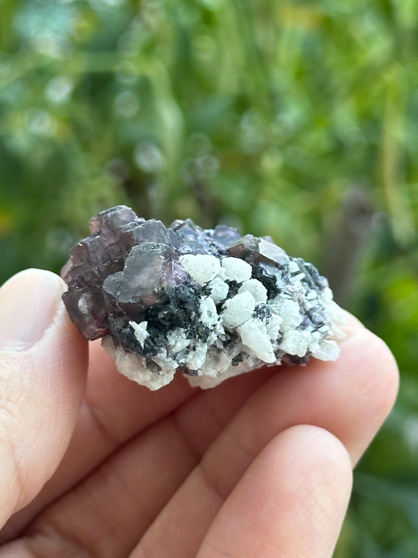 Fluorite with Calcite Specimen