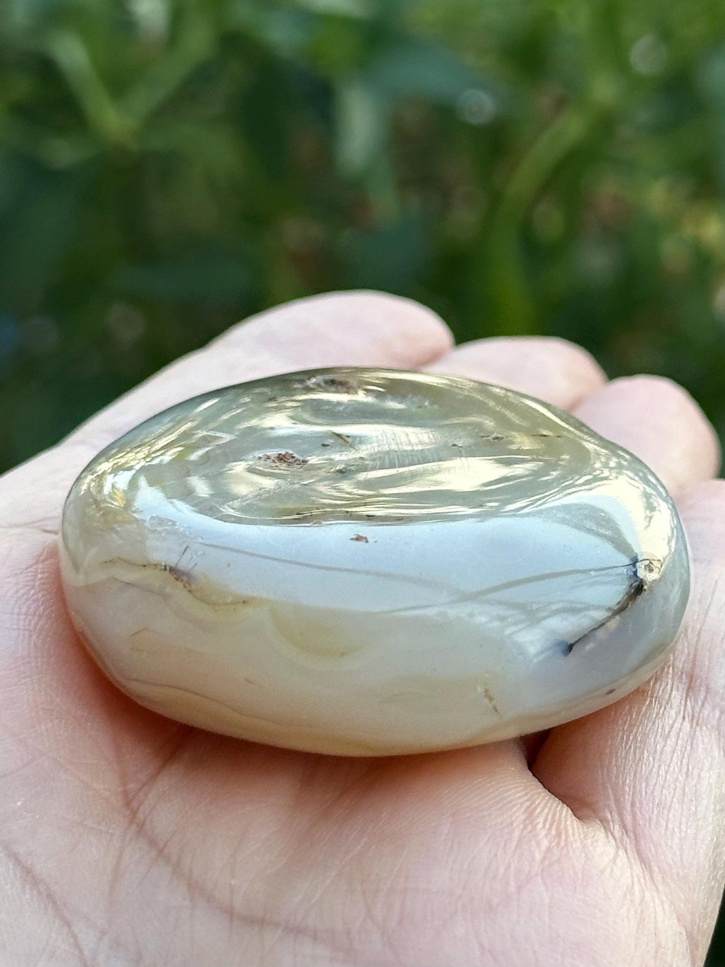Dendritic Agate Palm Stone