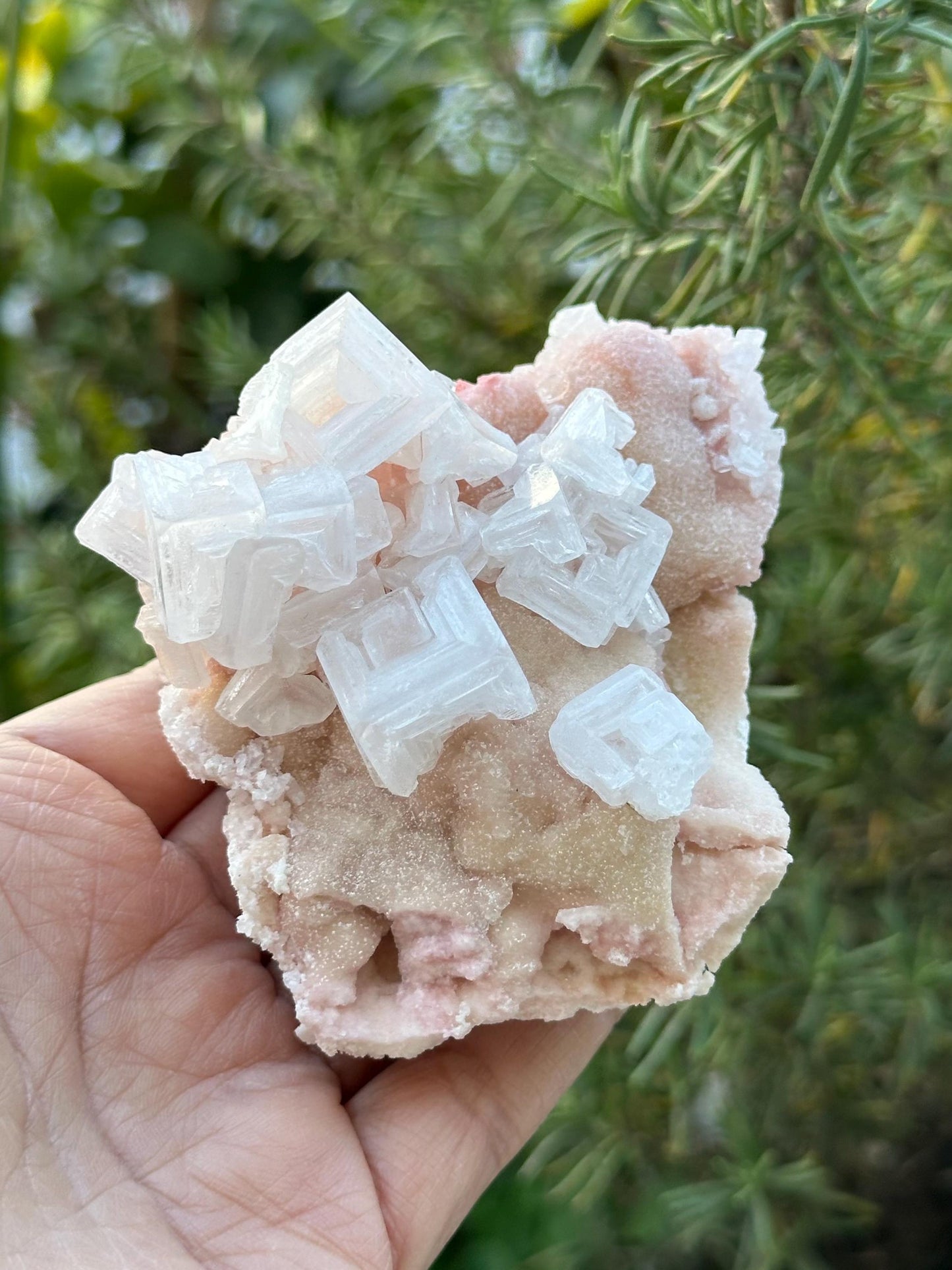 Light Pink Halite on Trona from Searles Lake, California