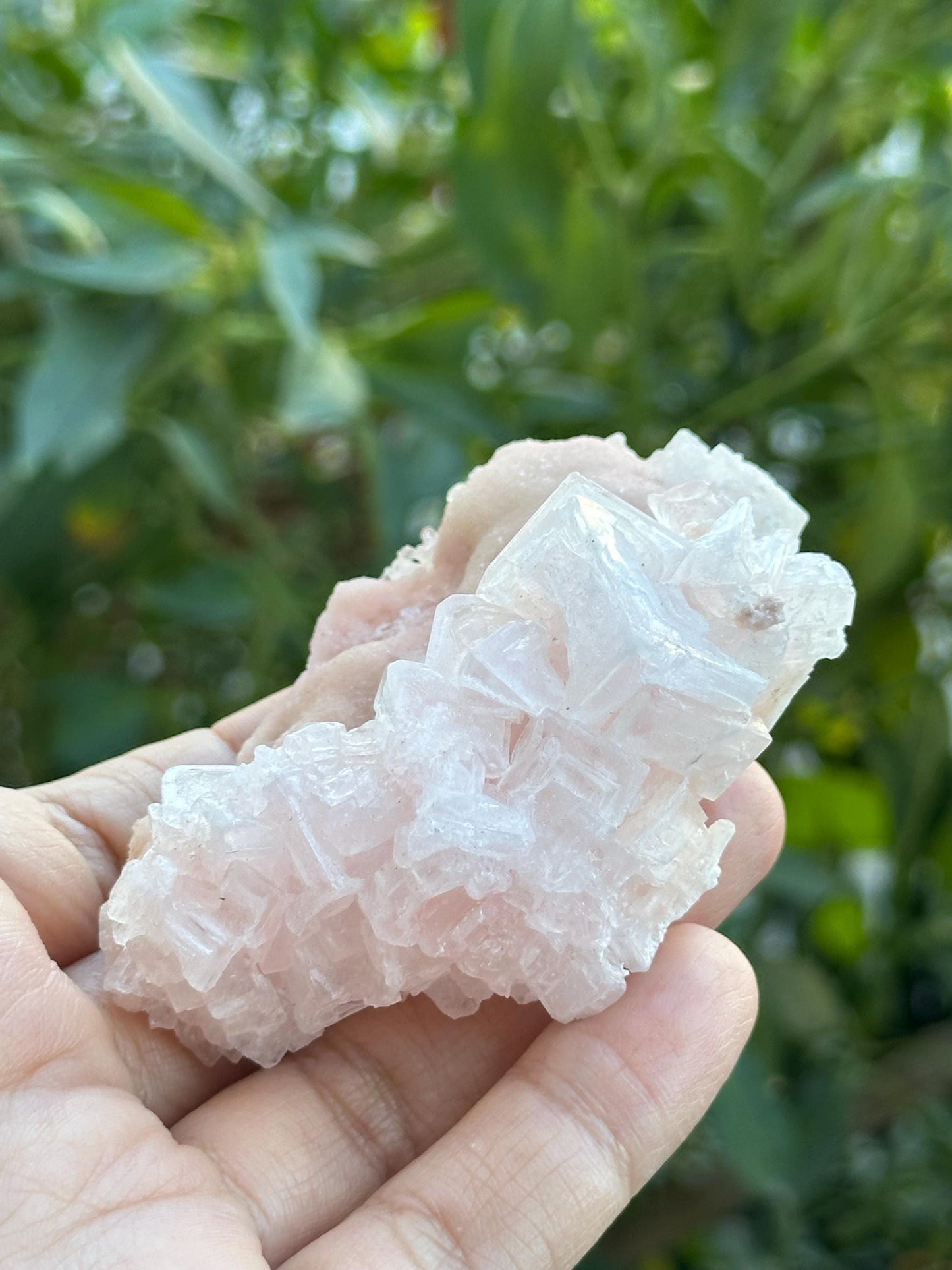 Light Pink Halite on Trona