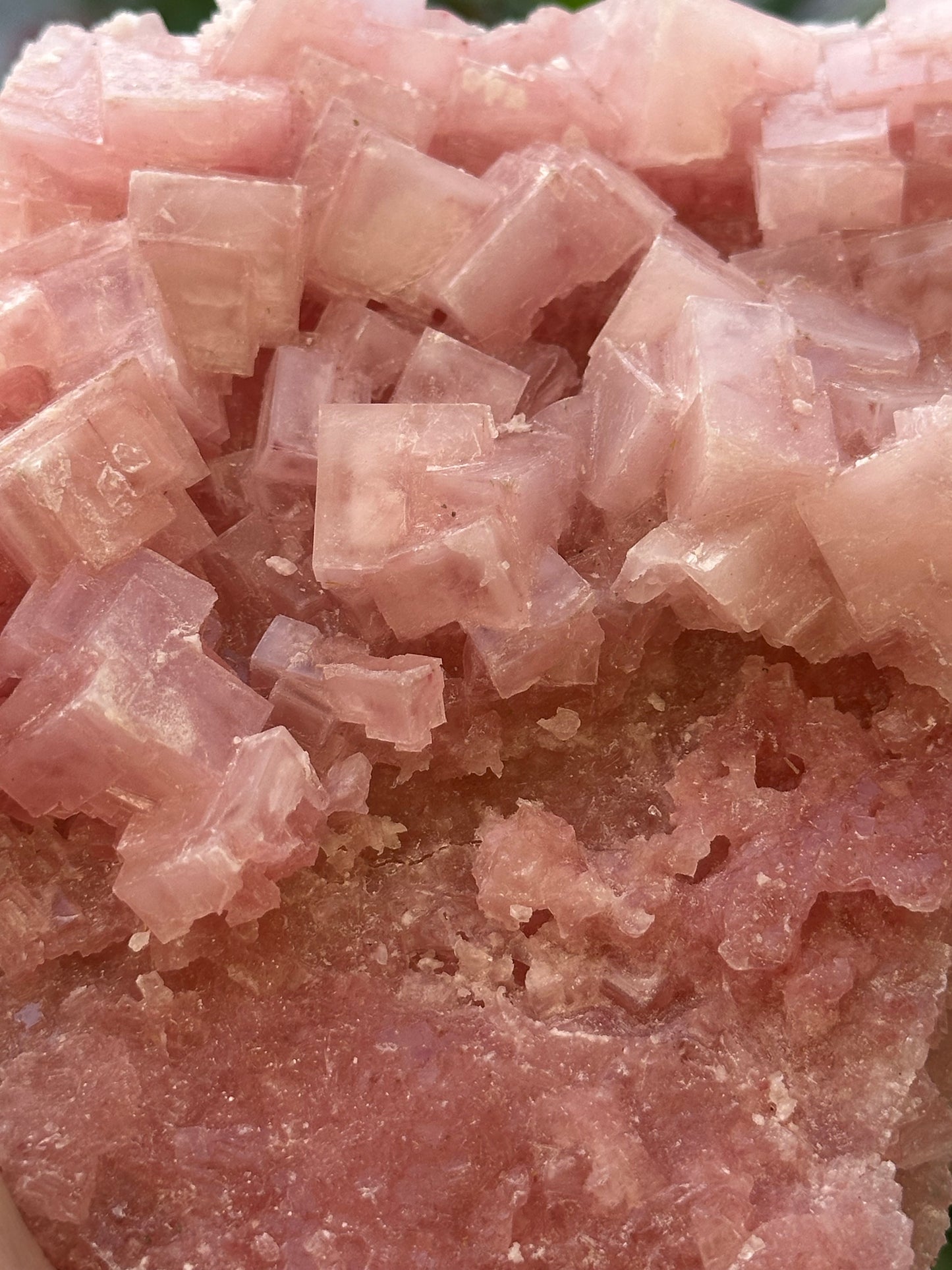 Pink Halite from Searles Lake, California