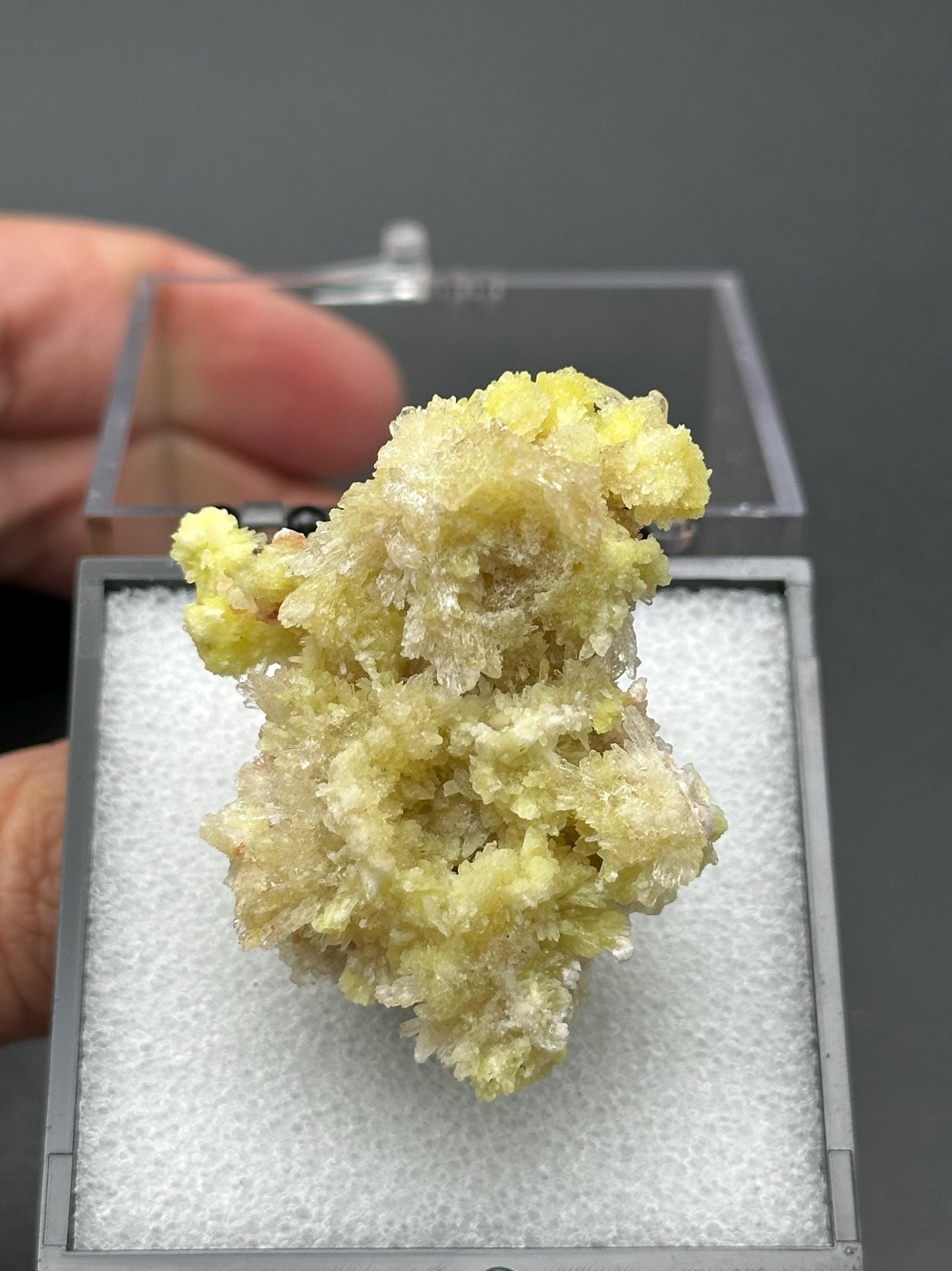 Creedite with Selenite in a perky box from Guizhou, Dachang, China