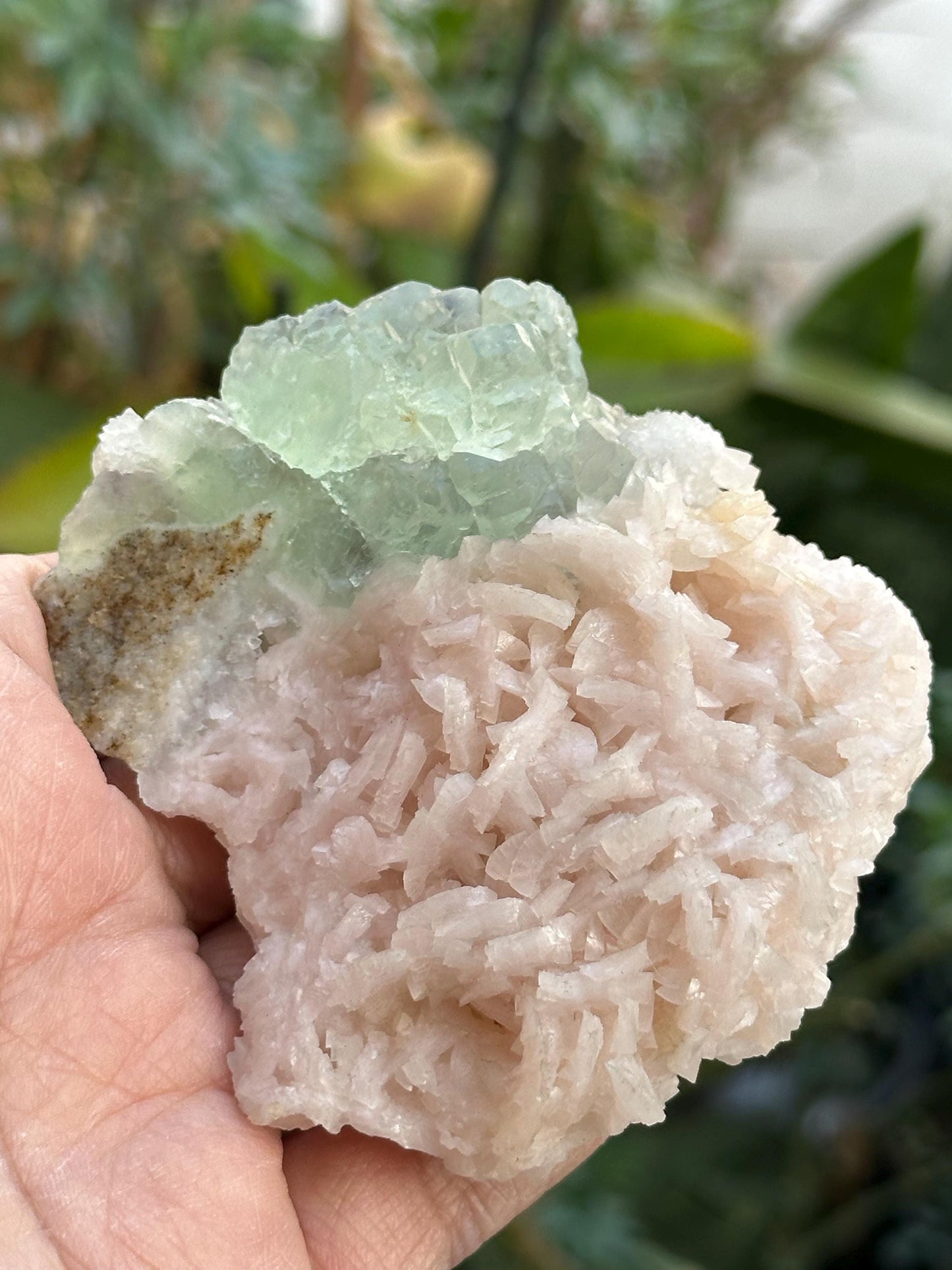 Manaoshan Fluorite with Dolomite