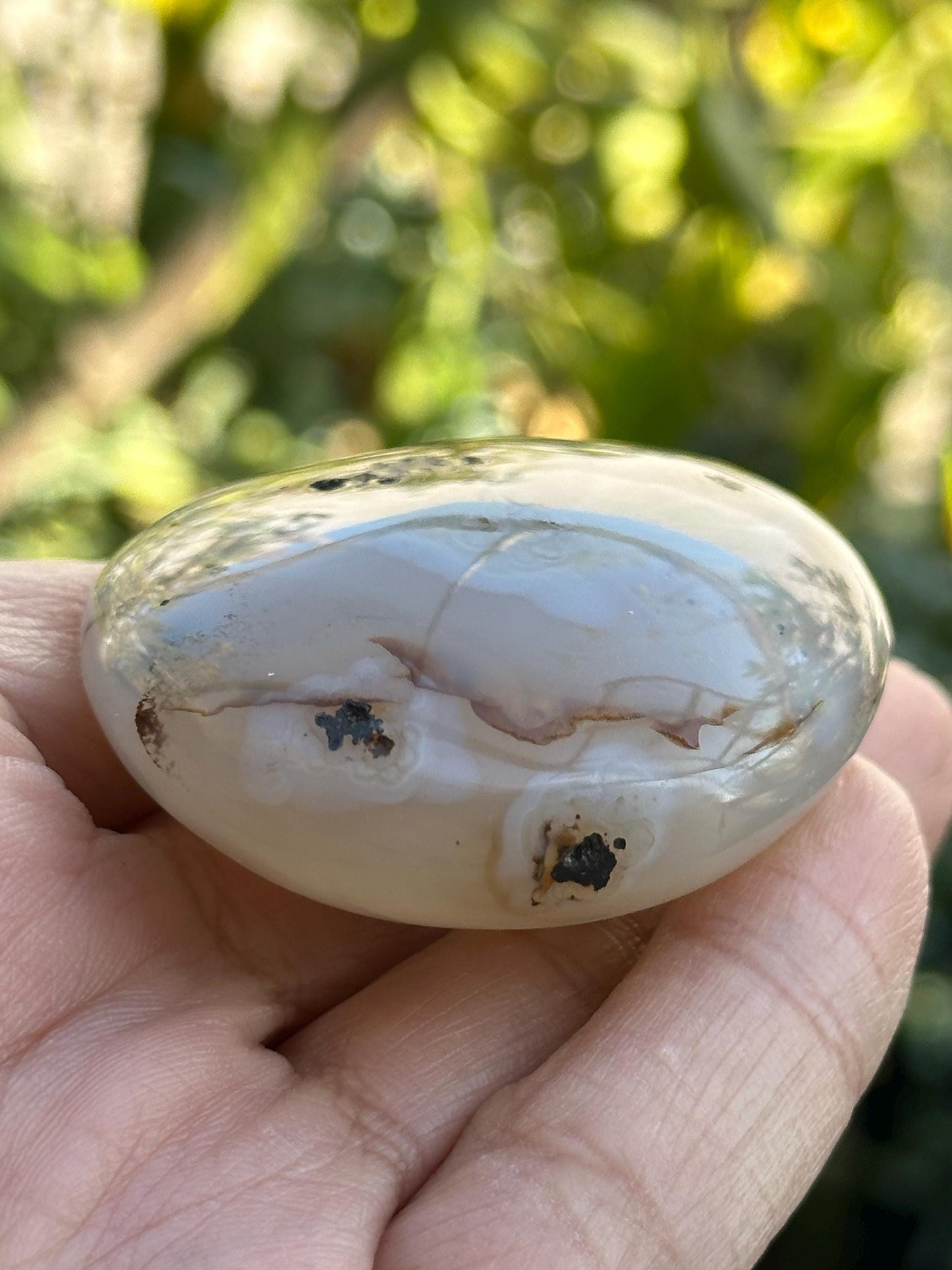 Small Dendritic Agate Palm Stone from Madagascar