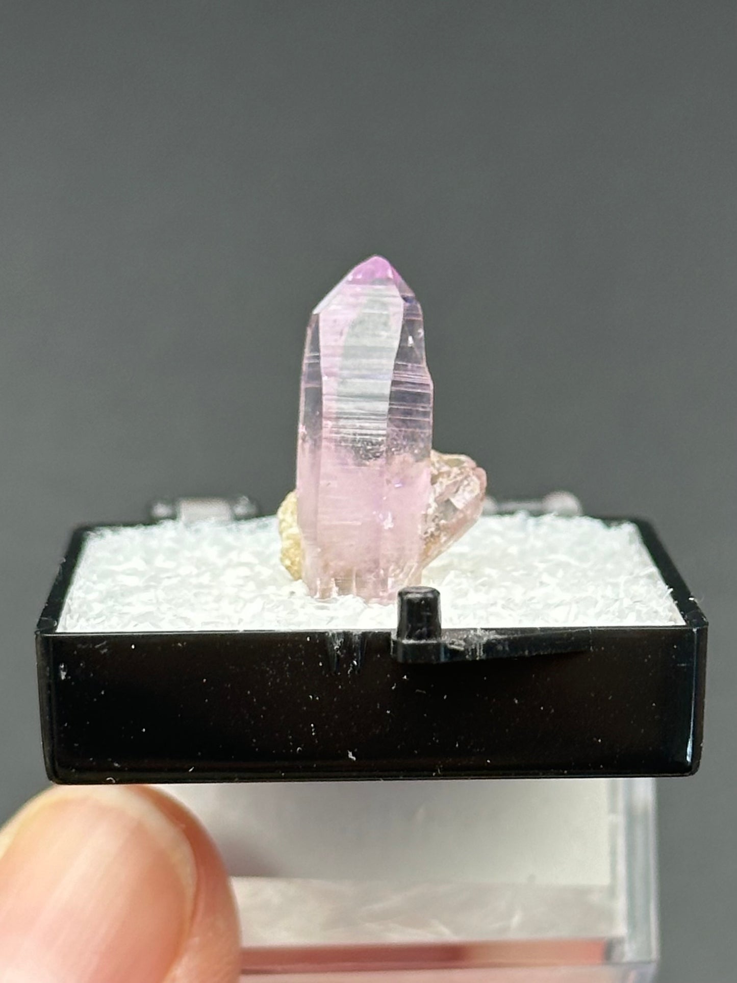 Veracruz Amethyst in a perky box from Veracruz, Mexico