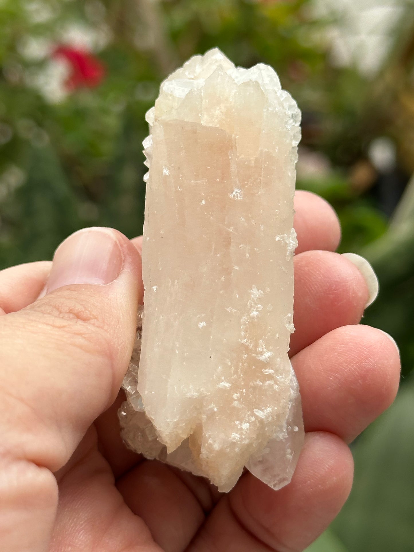 Apophyllite with Stilbite from India