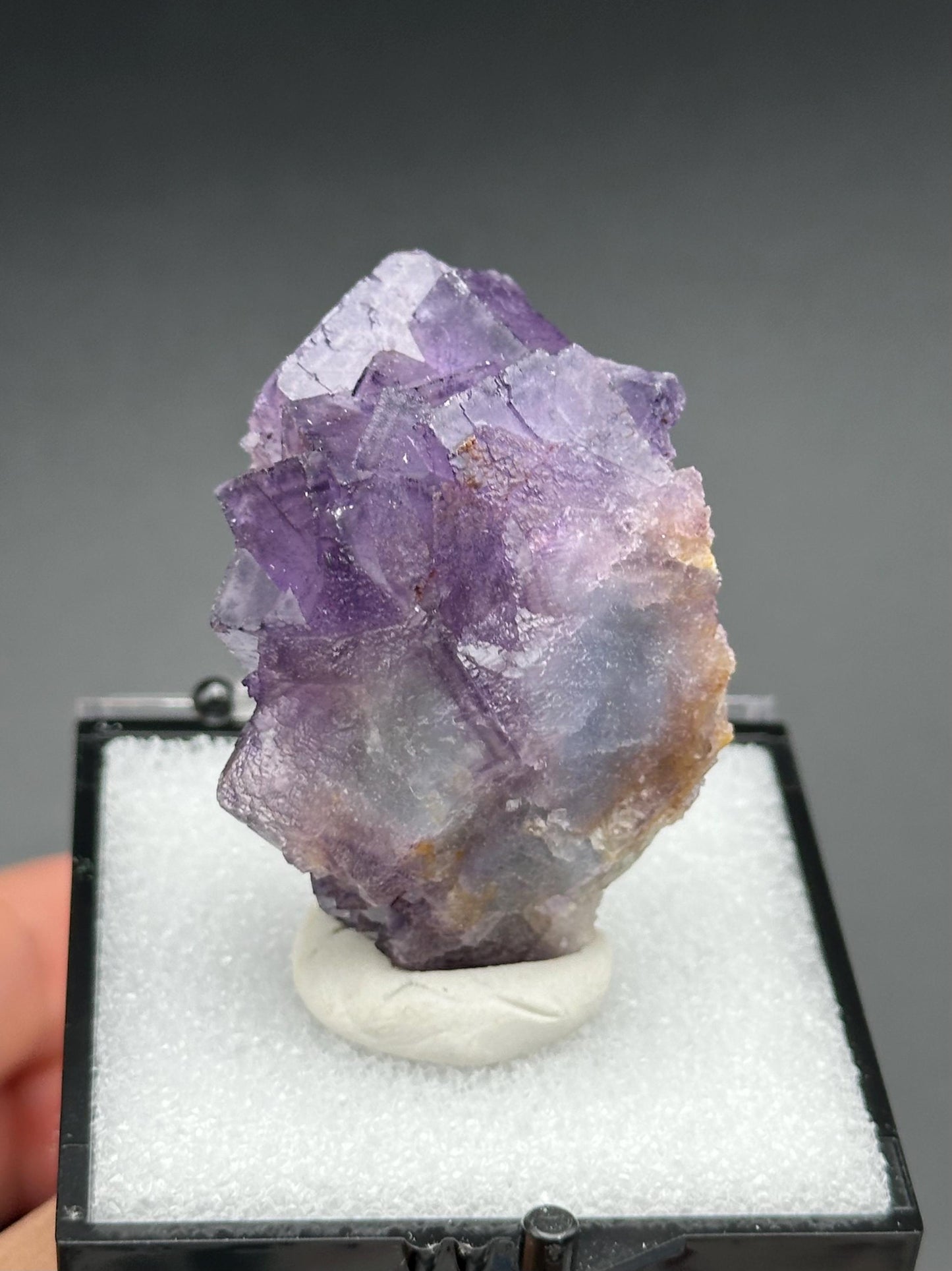Fluorite Specimen in a perky box from Quinlong Mine, Guizhou, China