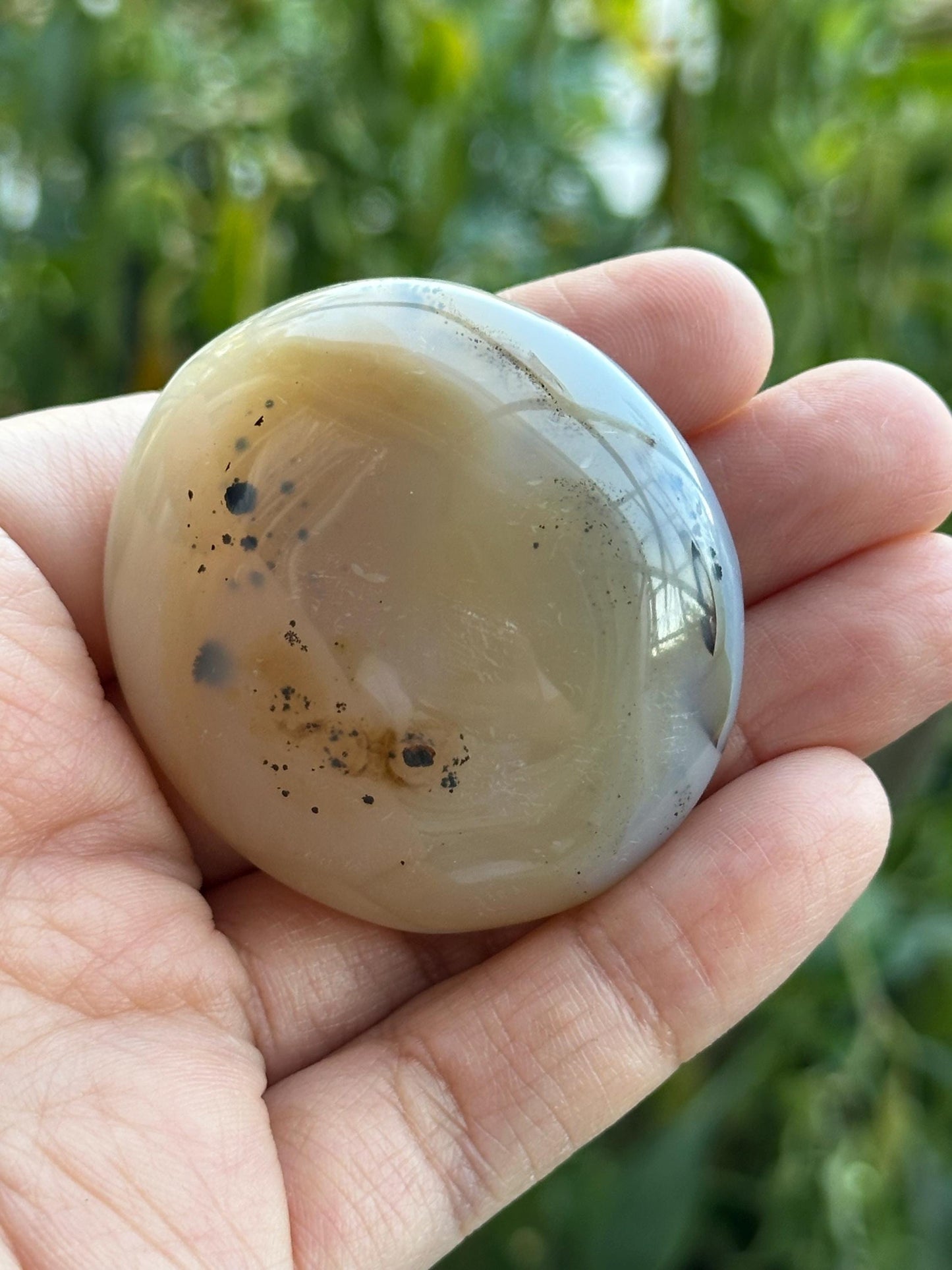 Dendritic Agate Palm Stone
