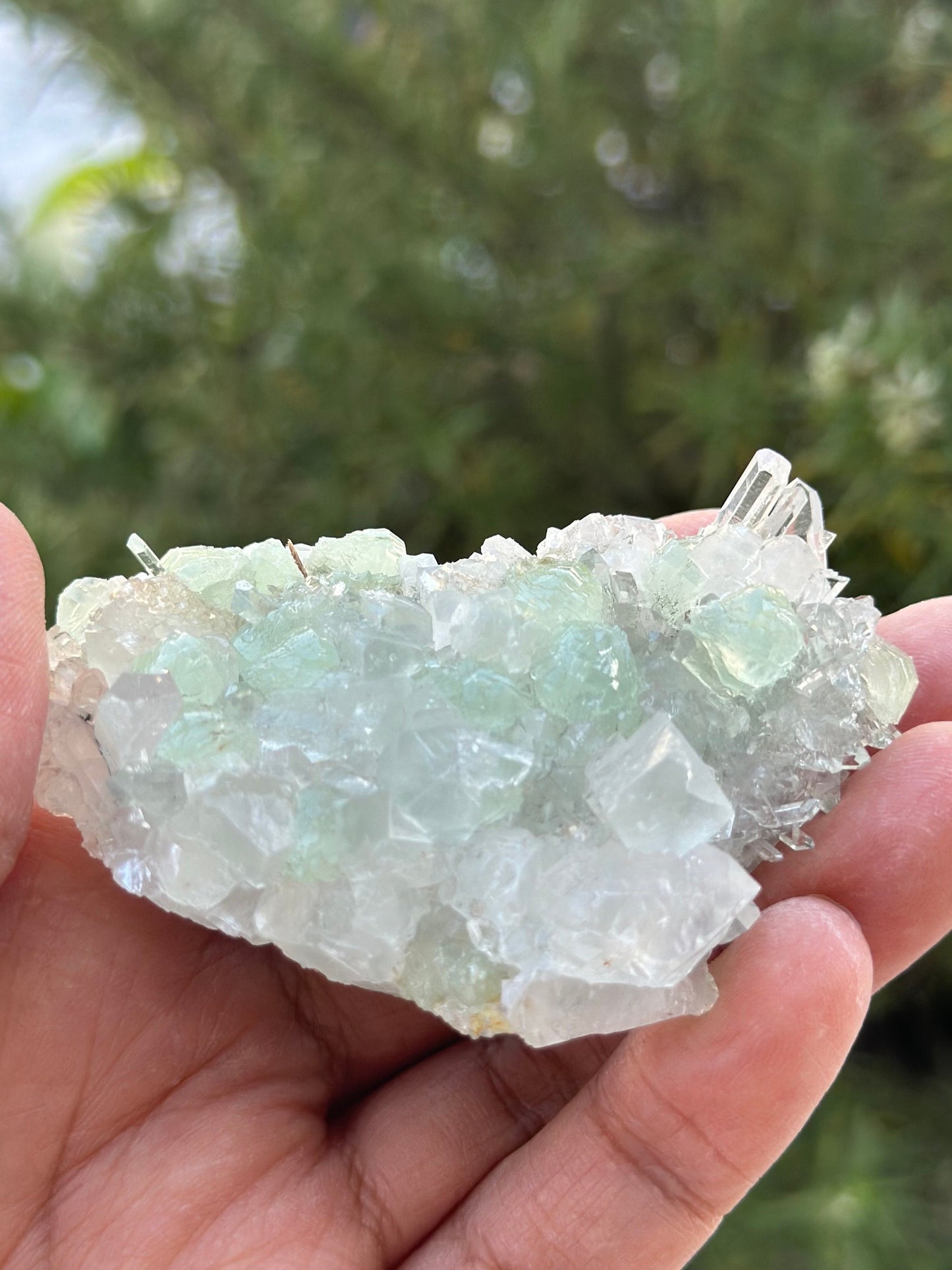 Prehnite, Calcite, and Quartz from the Goboboseb Mountains in the Erongo Region of Namibia