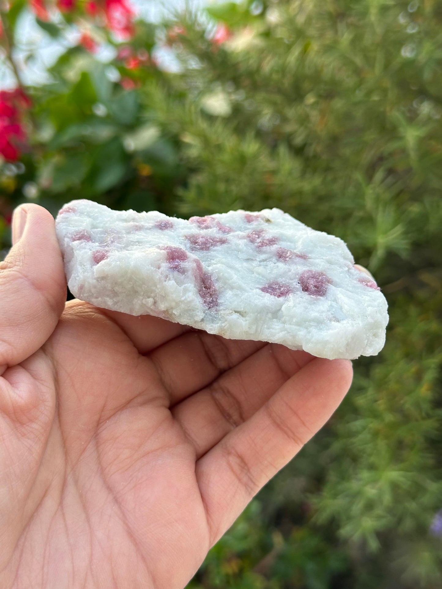 Rough Pink Tourmaline