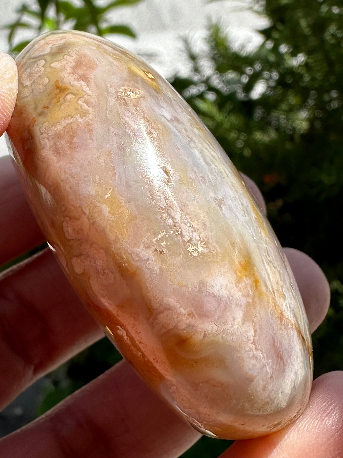 Flower Agate Palm Stone