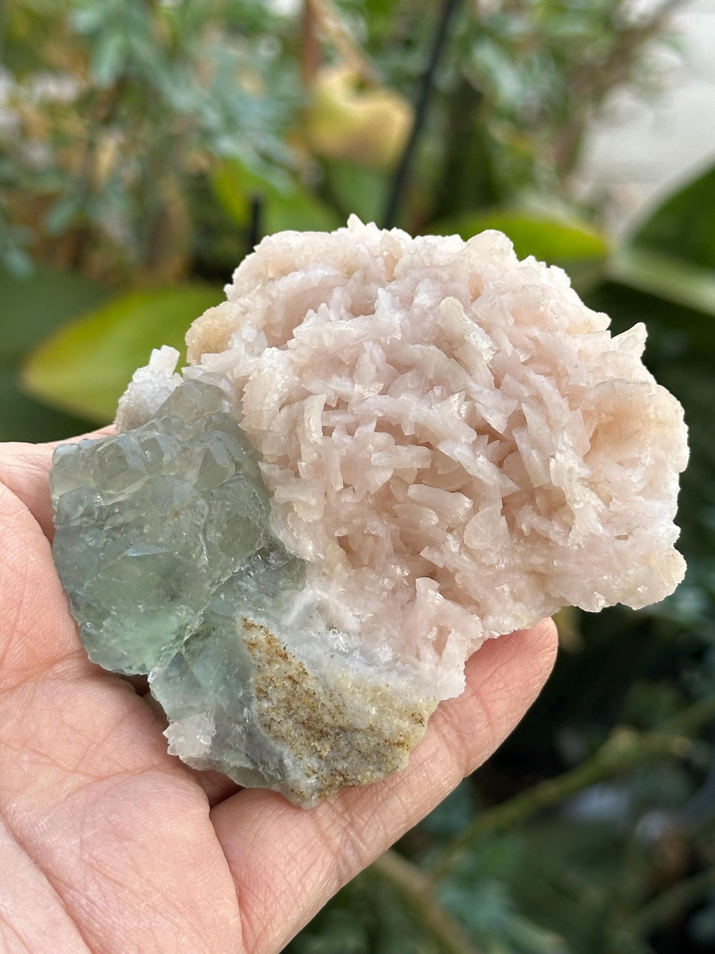 Manaoshan Fluorite with Dolomite