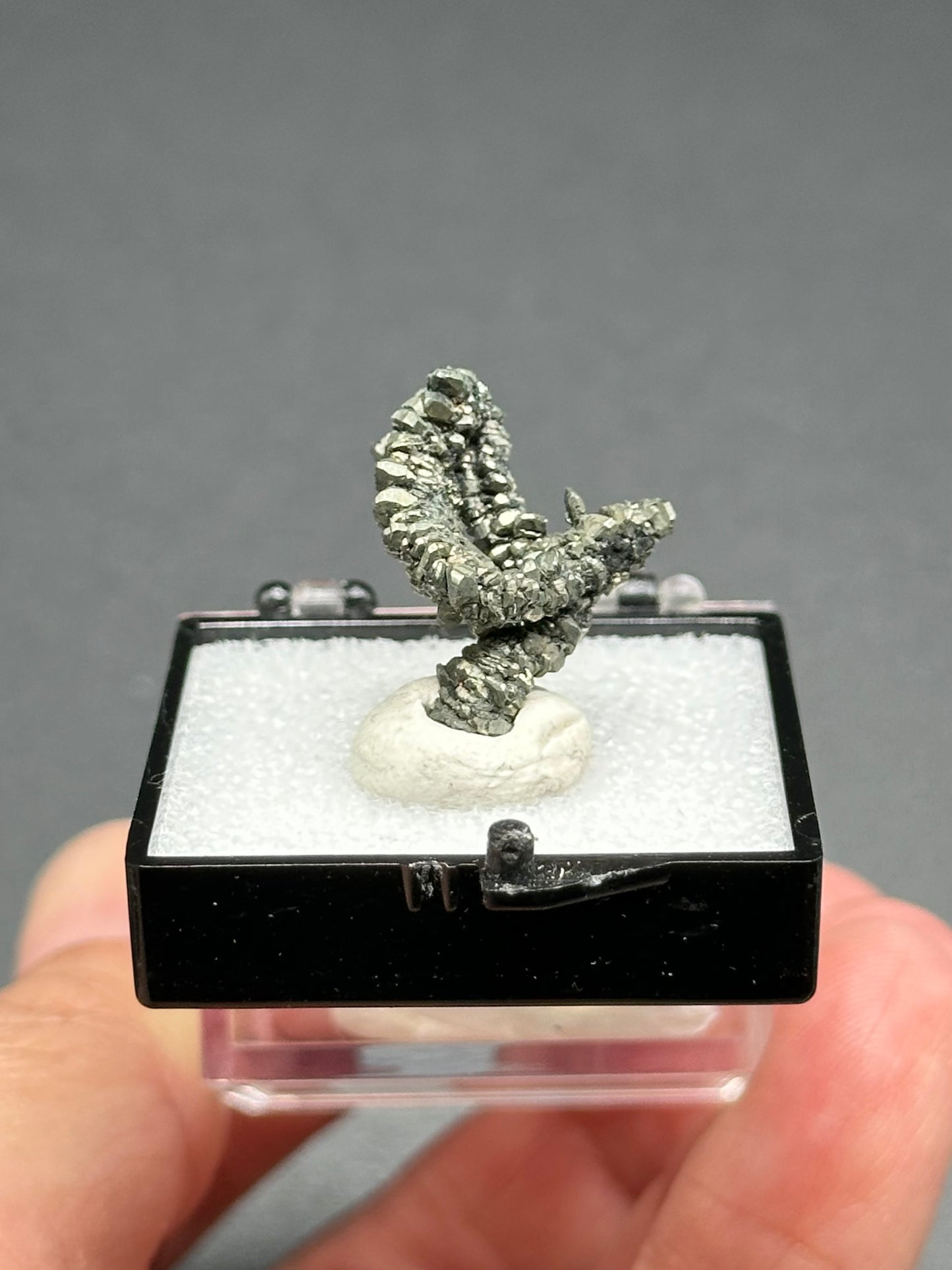 Marcasite Specimen from the Linwood Mine