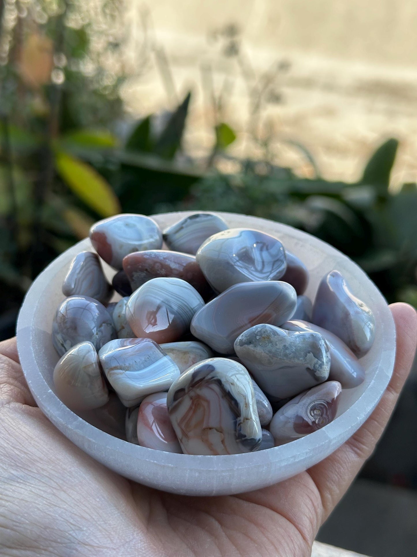 One (1) Botswana Agate Tumble