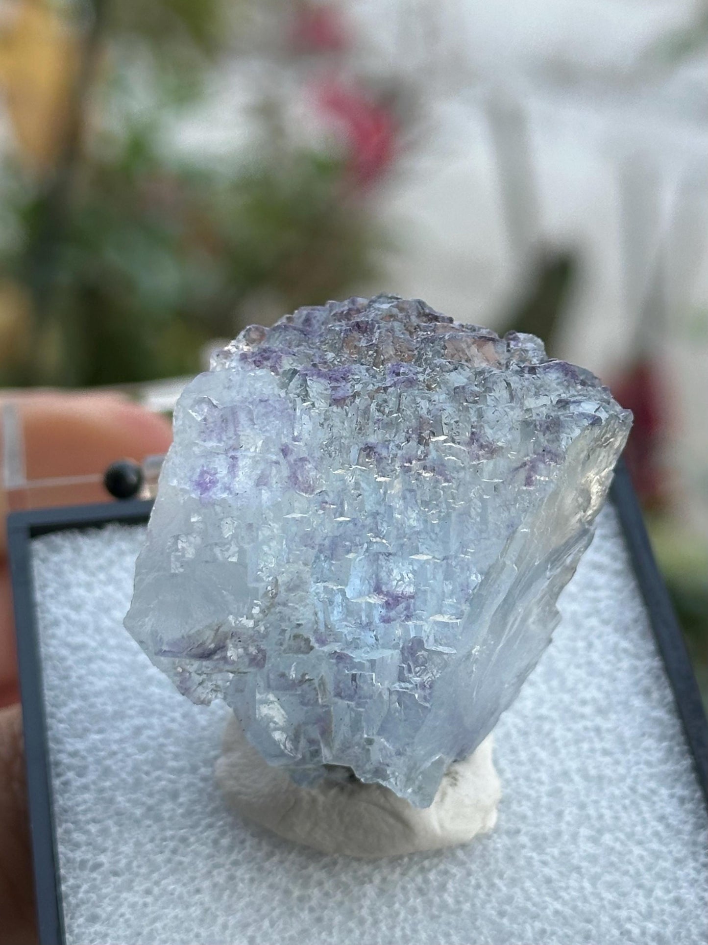 YGX Fluorite in a perky box from the Yaogangxian Mine