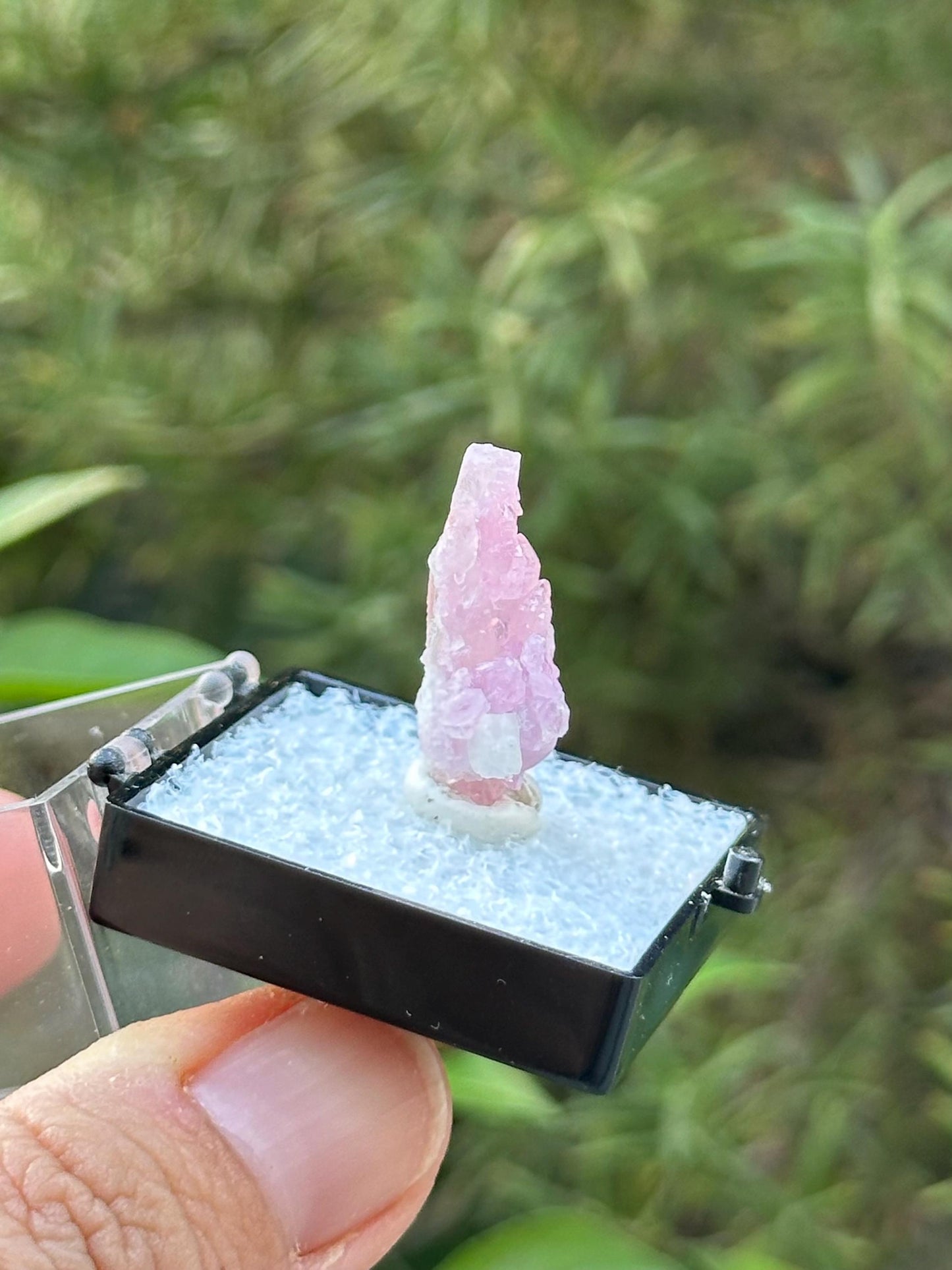 Crystallized Rose Quartz from Afghanistan