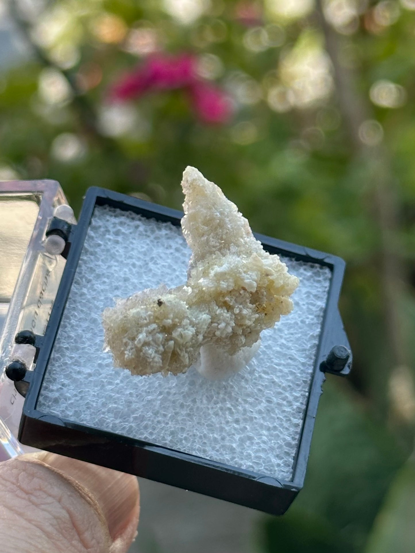 Fluoroaluminate Gypsum in a perky box from Guizhou Dachang, China