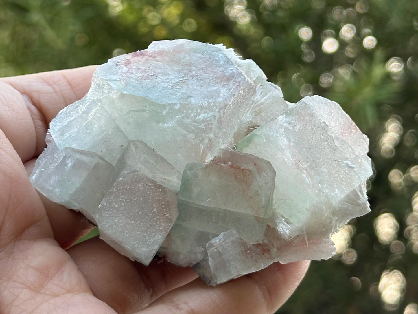Apophyllite Specimen from India