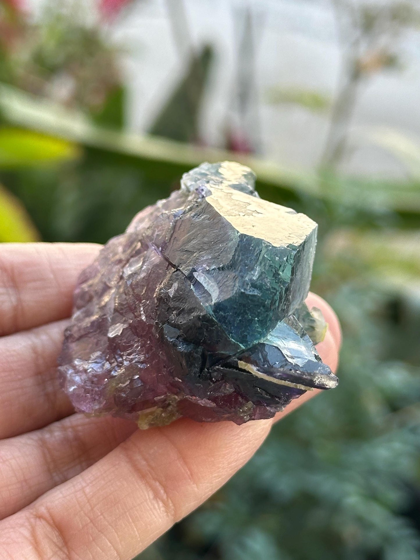 Fluorite from Zhejiang, China