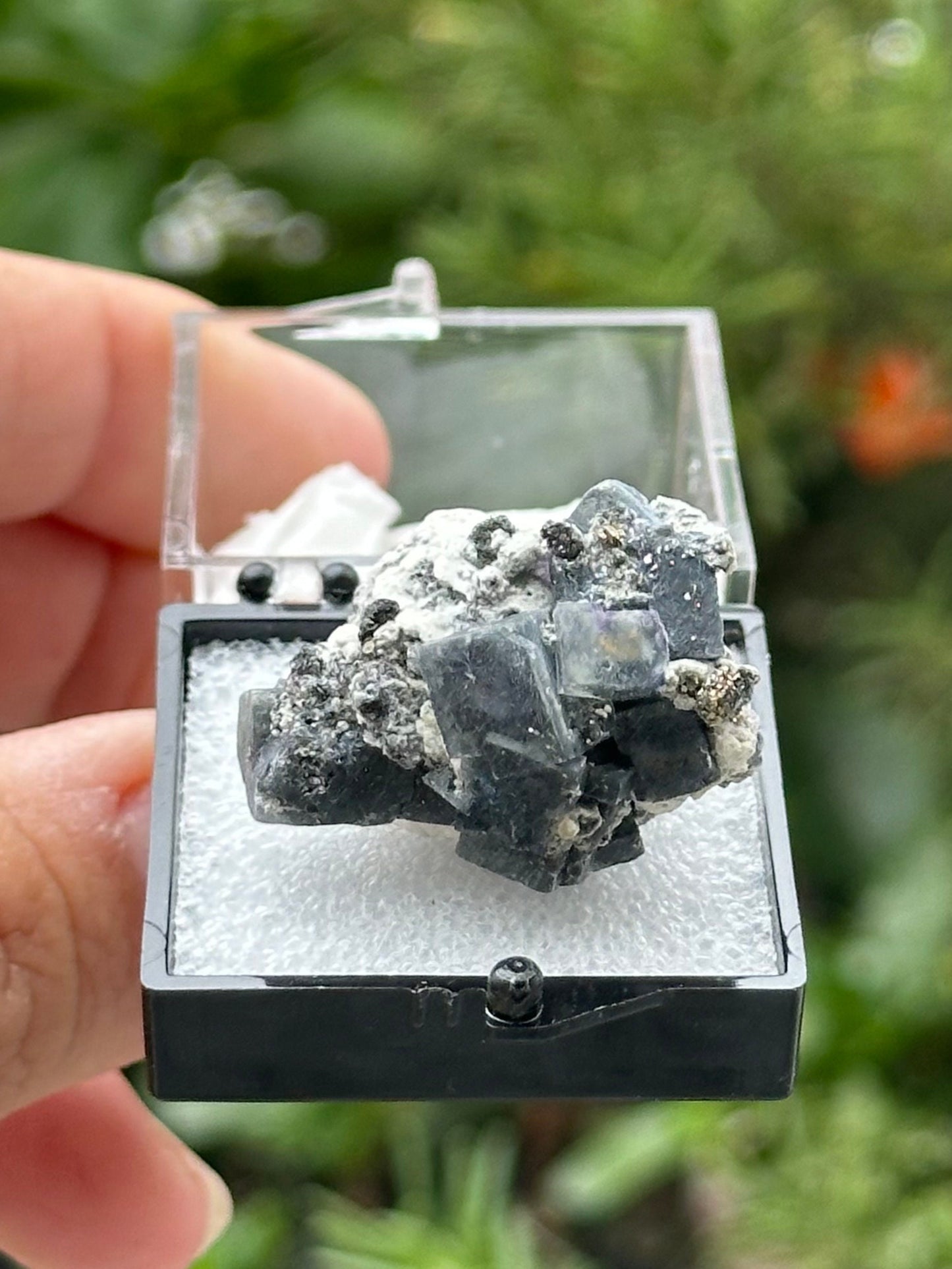 Fluorite with Pyrite Specimen in a perky box from the Yindu Mine, Inner Mongolia, China