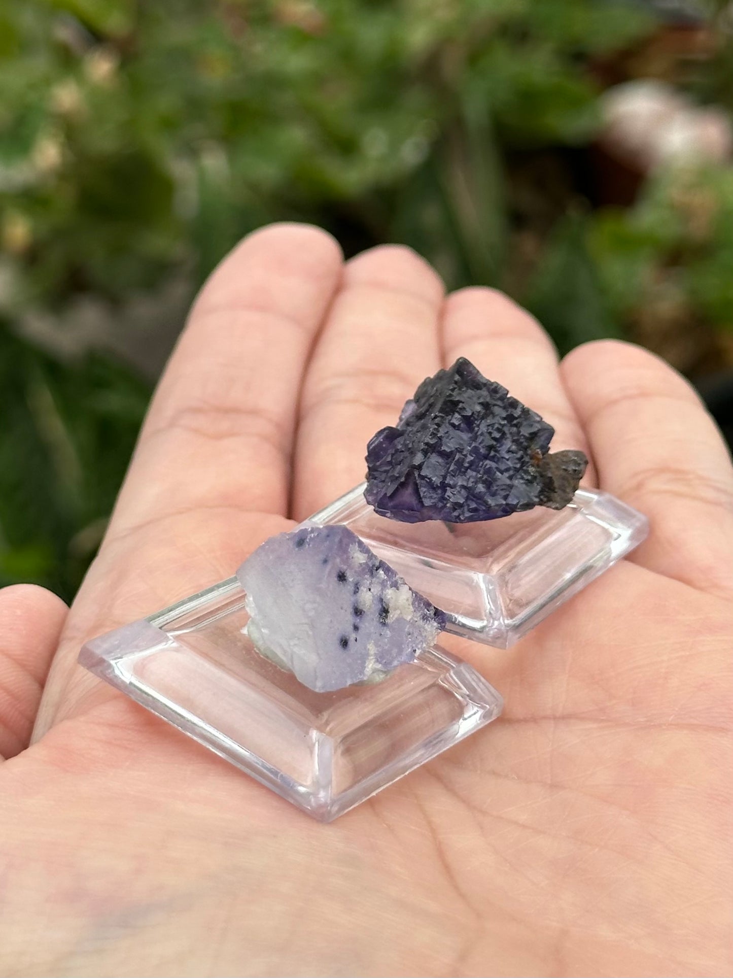 2 Fluorites from the Elmwood Mine on Stands