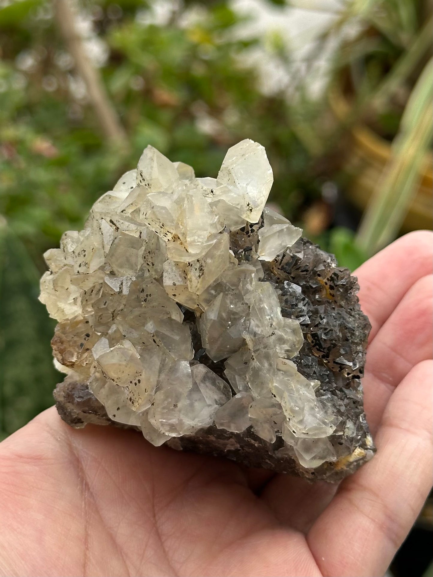 Fluorite and Calcite Specimen from Xianghualing