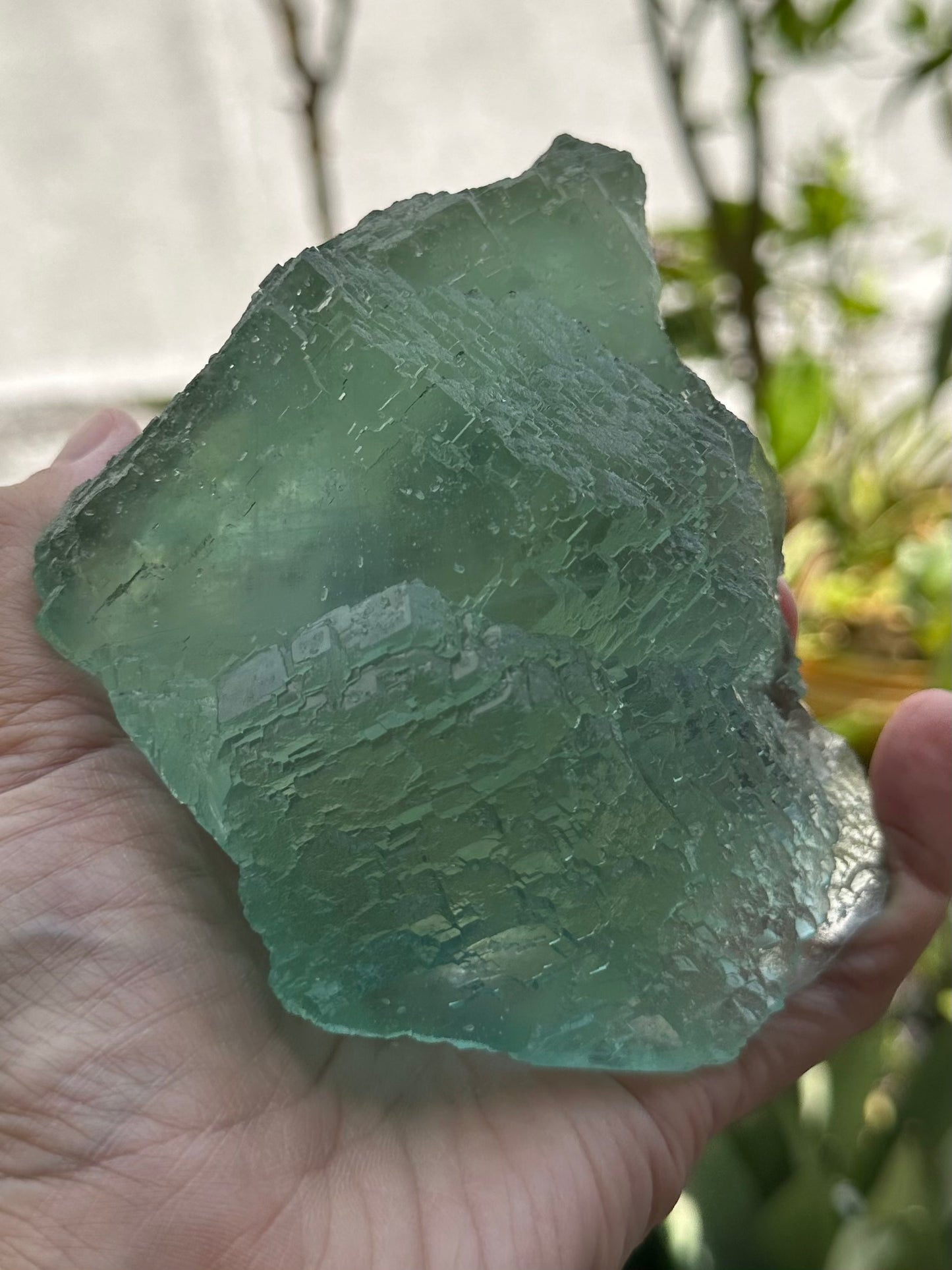 Green Fluorite from the Manaoshan Mine