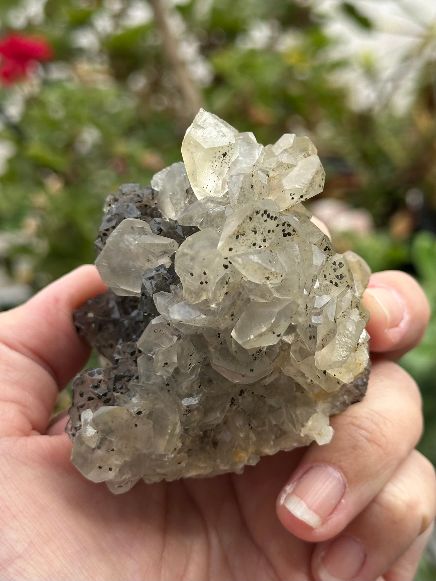 Fluorite and Calcite Specimen from Xianghualing