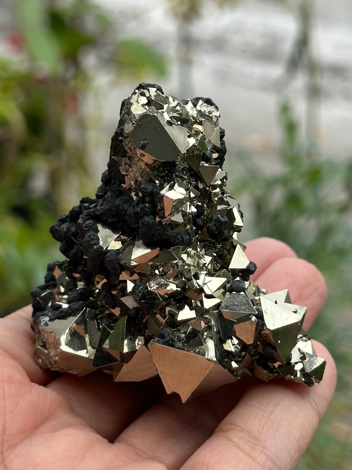 Pyrite Specimen from the Huanzala Mine, Peru