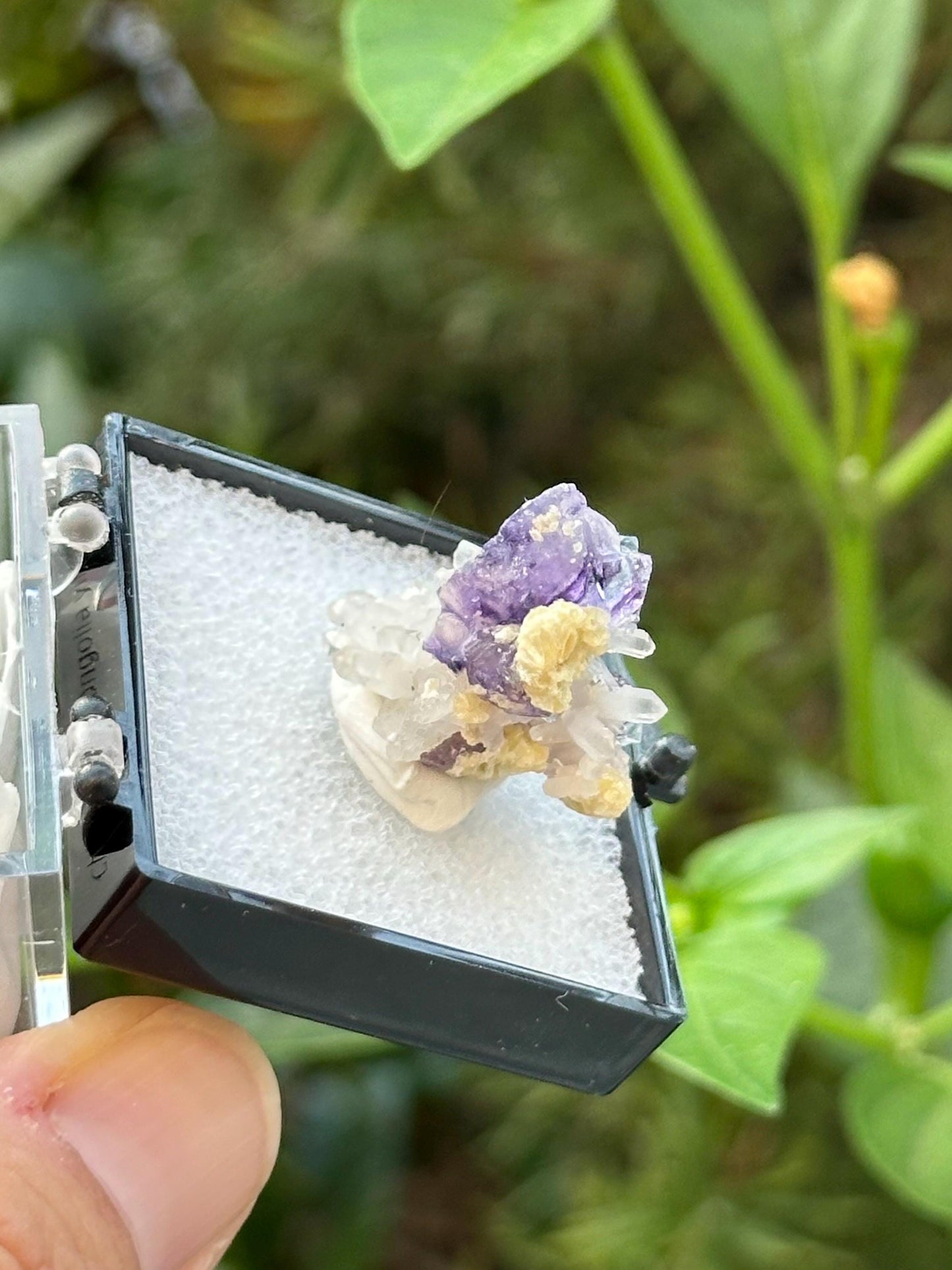 Fluorite with Quartz from the Yindu Mine, Inner Mongolia, China