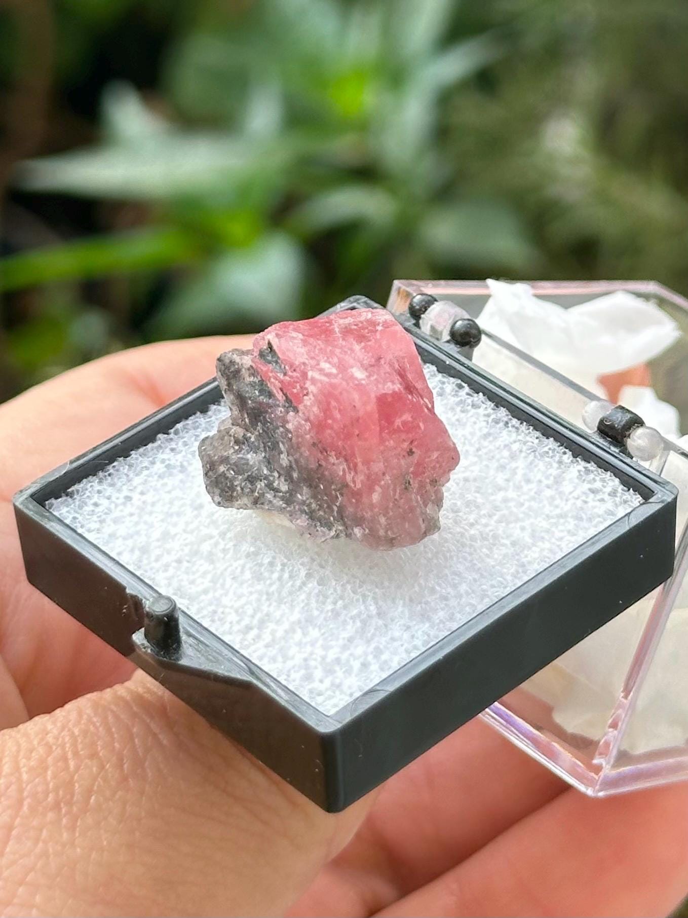 Rhodochrosite on Matrix Specimen in a perky box from Guangxi Wuzhou, China