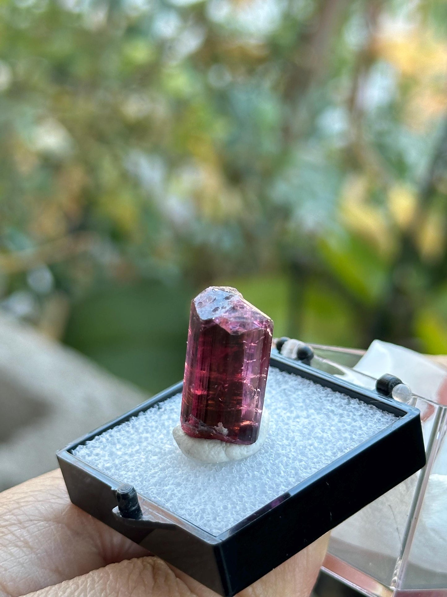 Tourmaline from Cruzeiro Mine