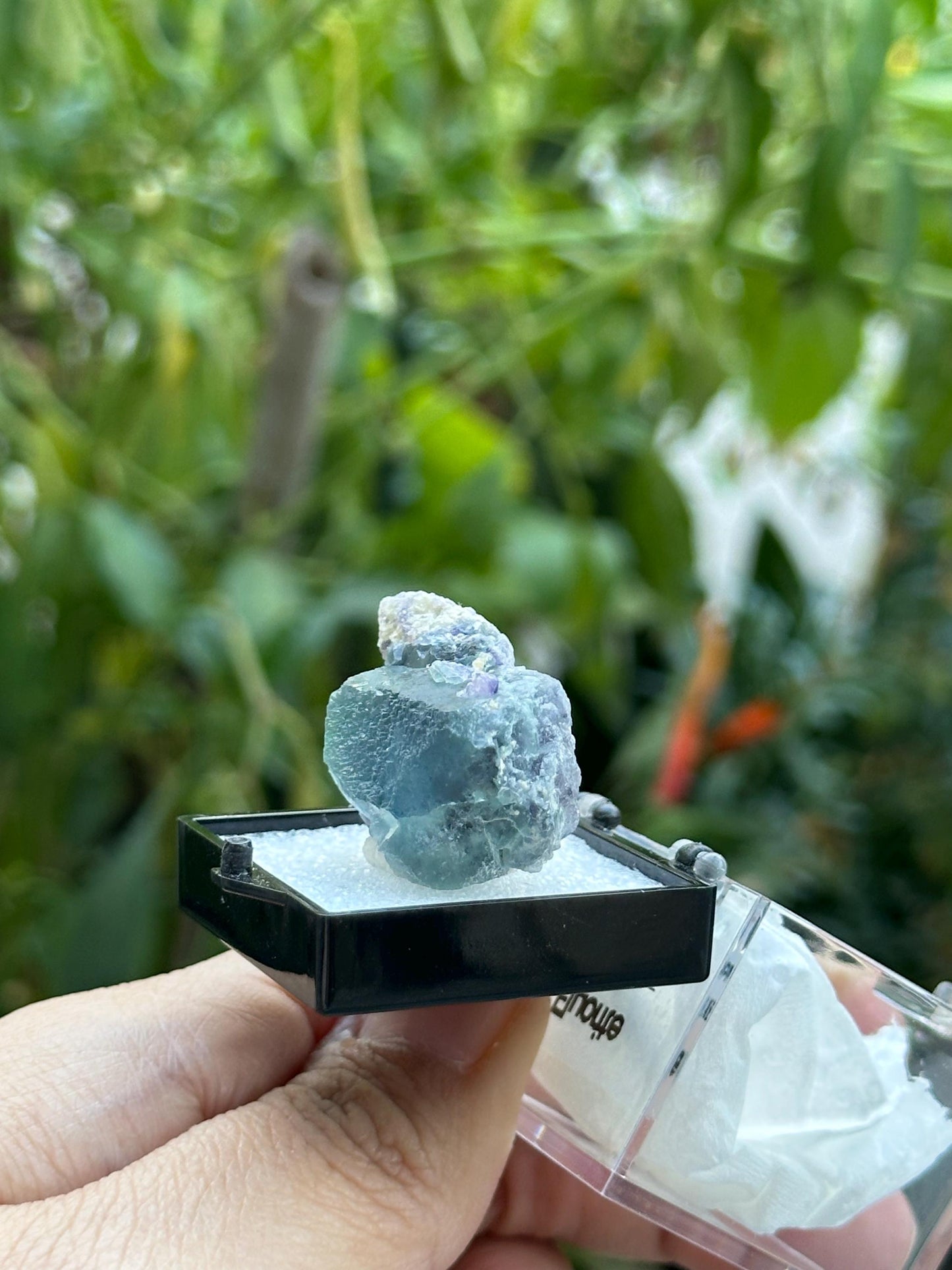 Fluorite from the Yindu Mine
