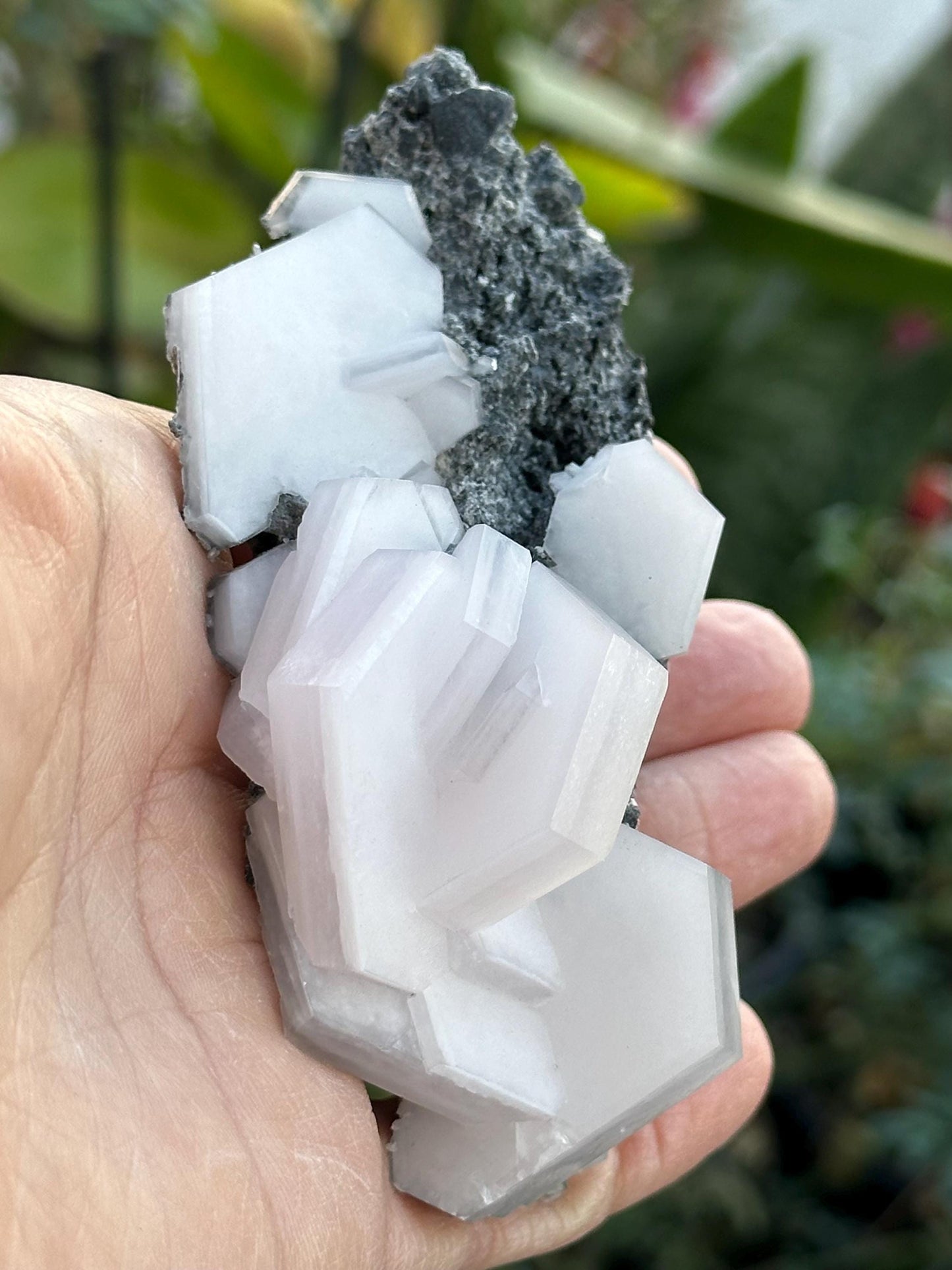 Sandwich Calcite