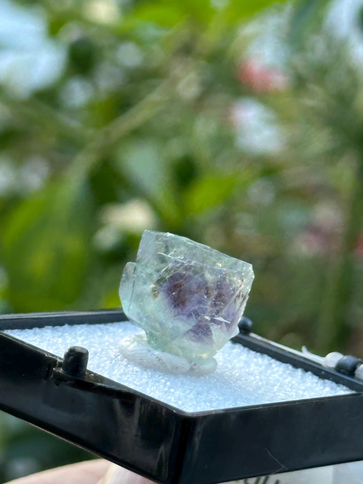 Fluorite from the Yindu Mine