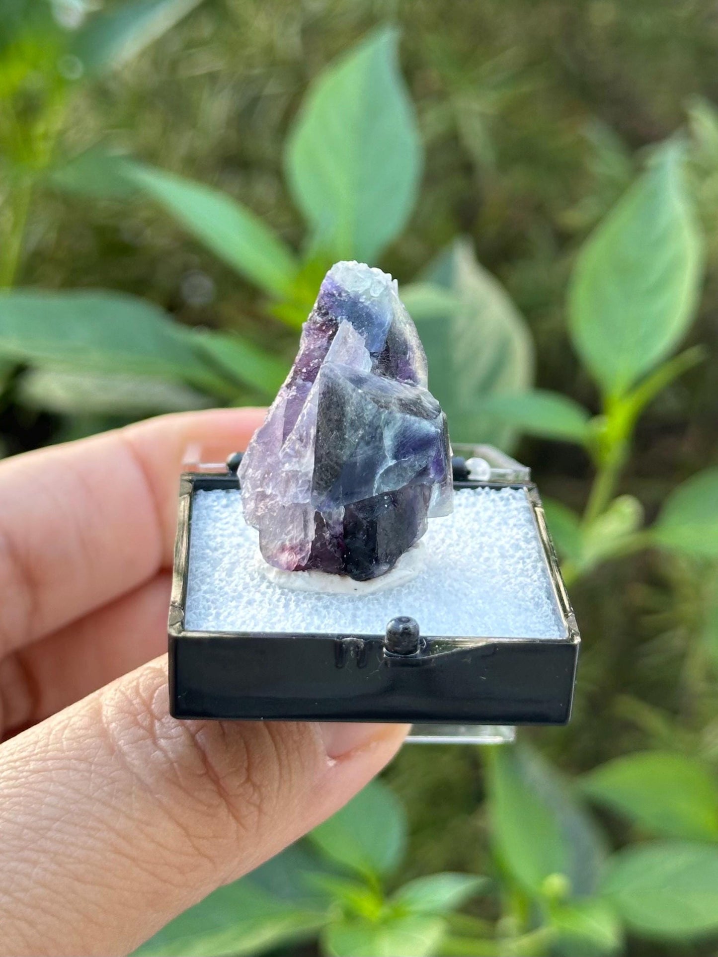 Fluorite from the Yindu Mine, Inner Mongolia, China